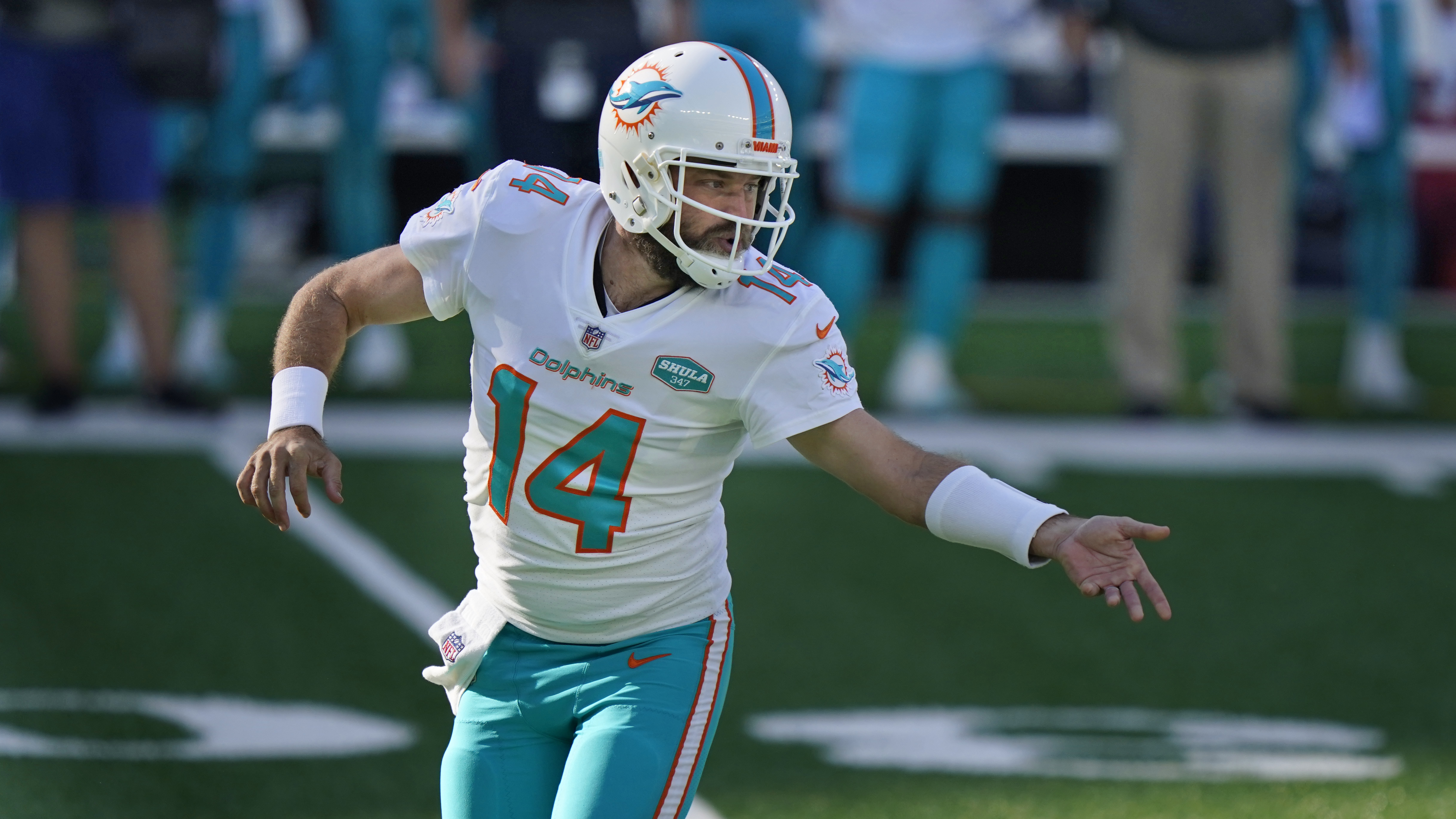 Dolphins QB Ryan Fitzpatrick is no journeyman. His is a story of equal  parts determination and talent - The Boston Globe
