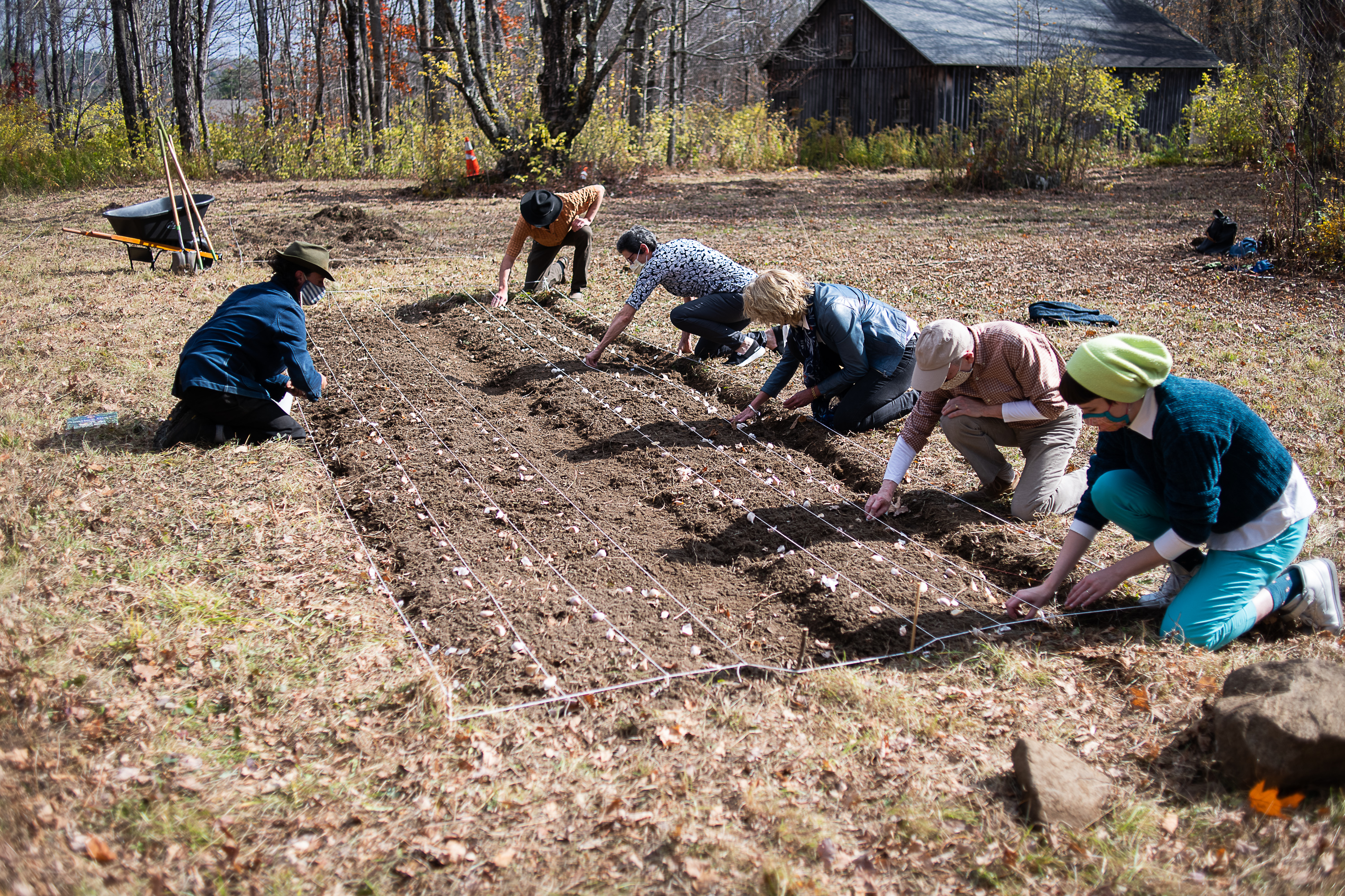 Garlic planting at Jacob's Garden.