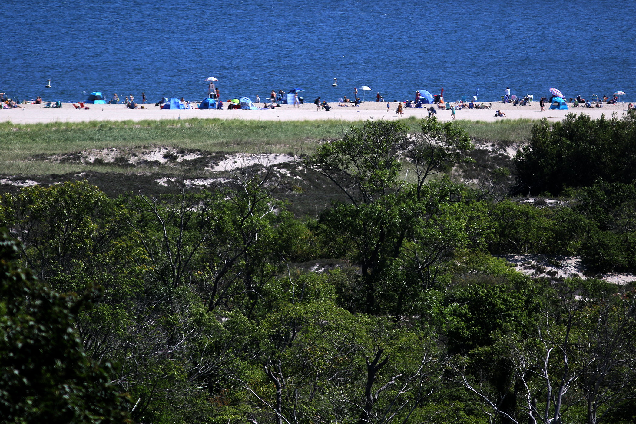 Crane Beach has has lost an estimated 84 football fields worth of sand.