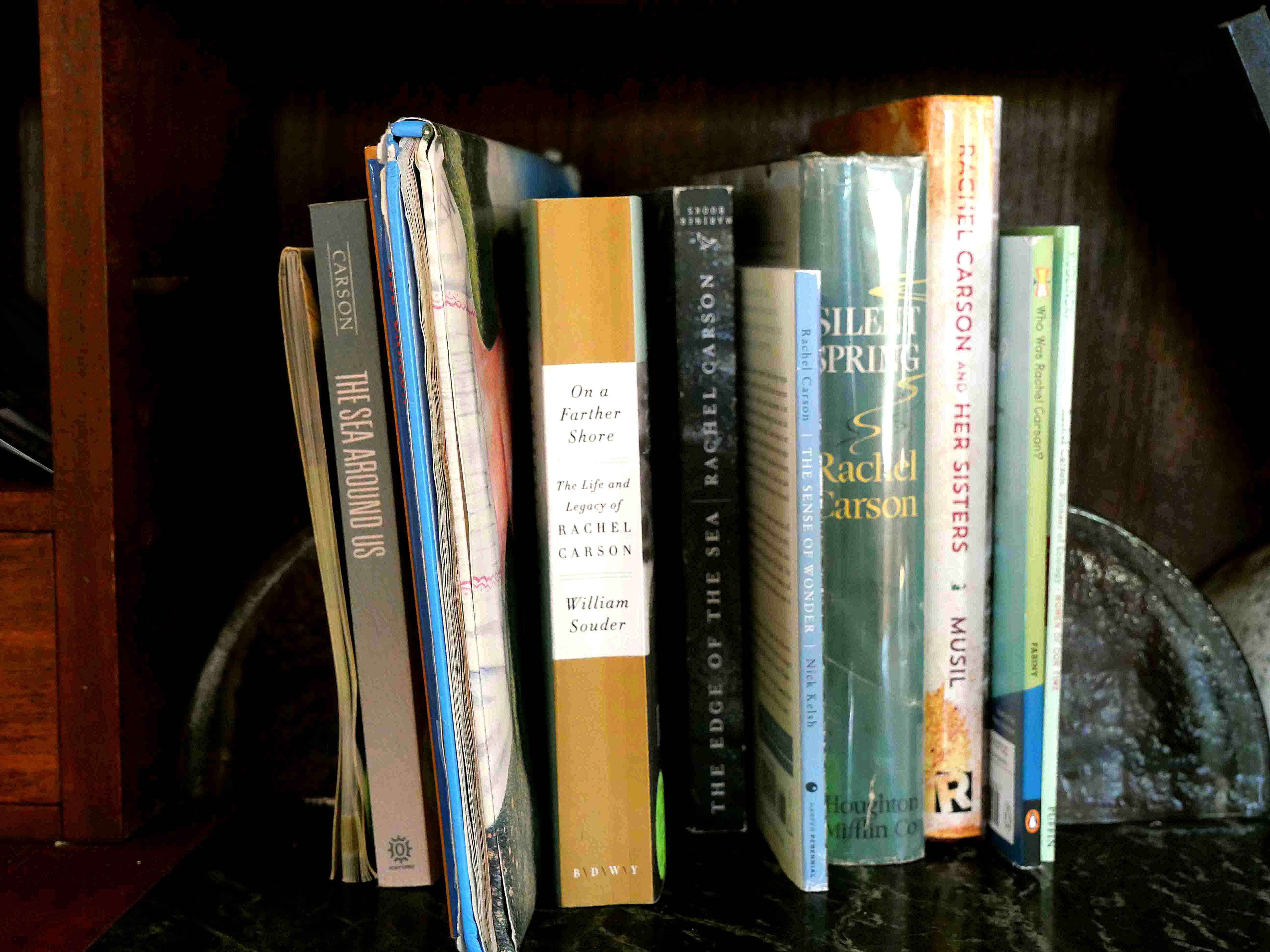 Rachel Carson memorabilia has a place of honor at the Newagen Seaside Inn in Southport, Maine.