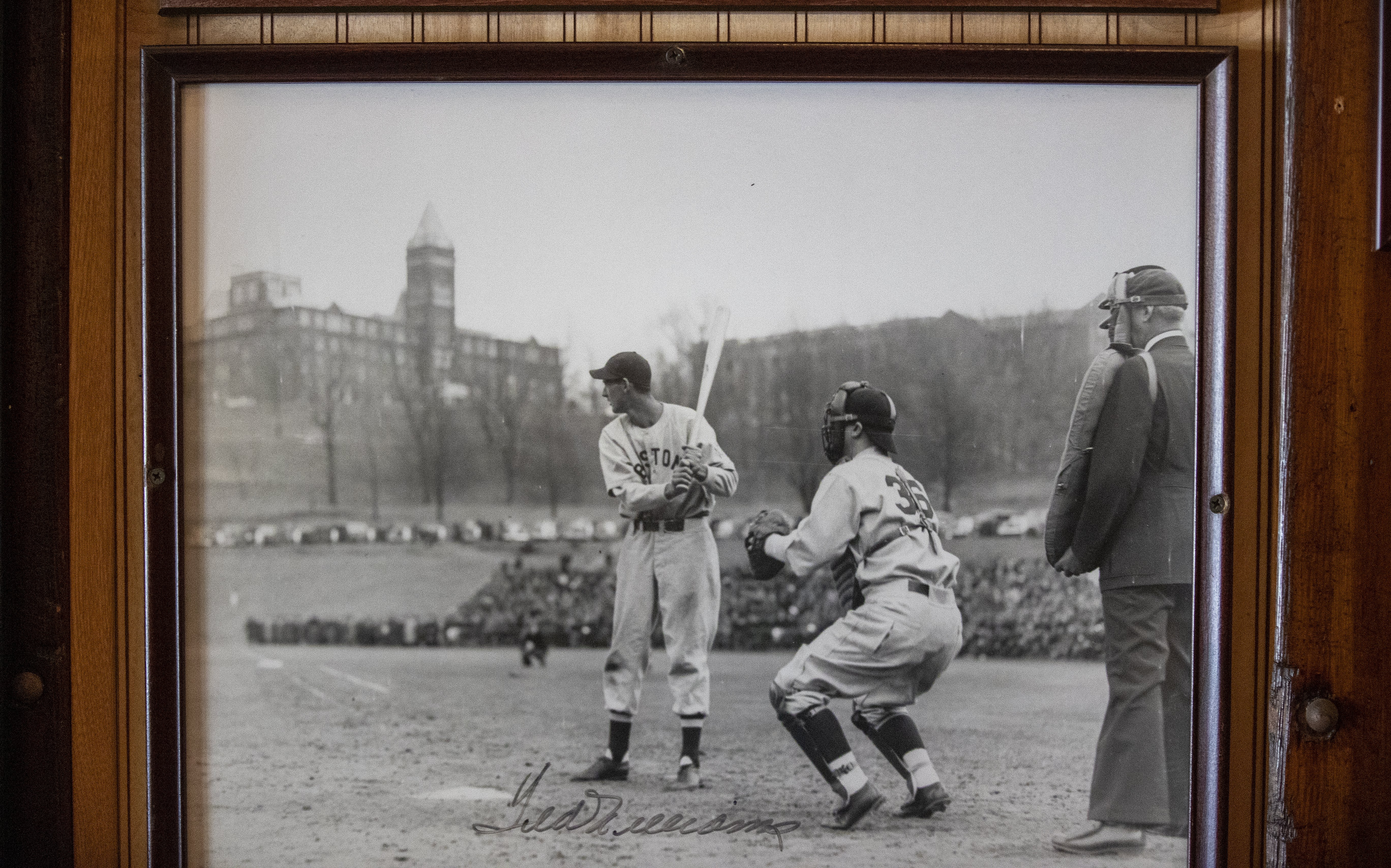 Among the memorabilia hanging on the walls is this photo of Ted Williams as a 22-year-old rookie during a game played at Holy Cross.