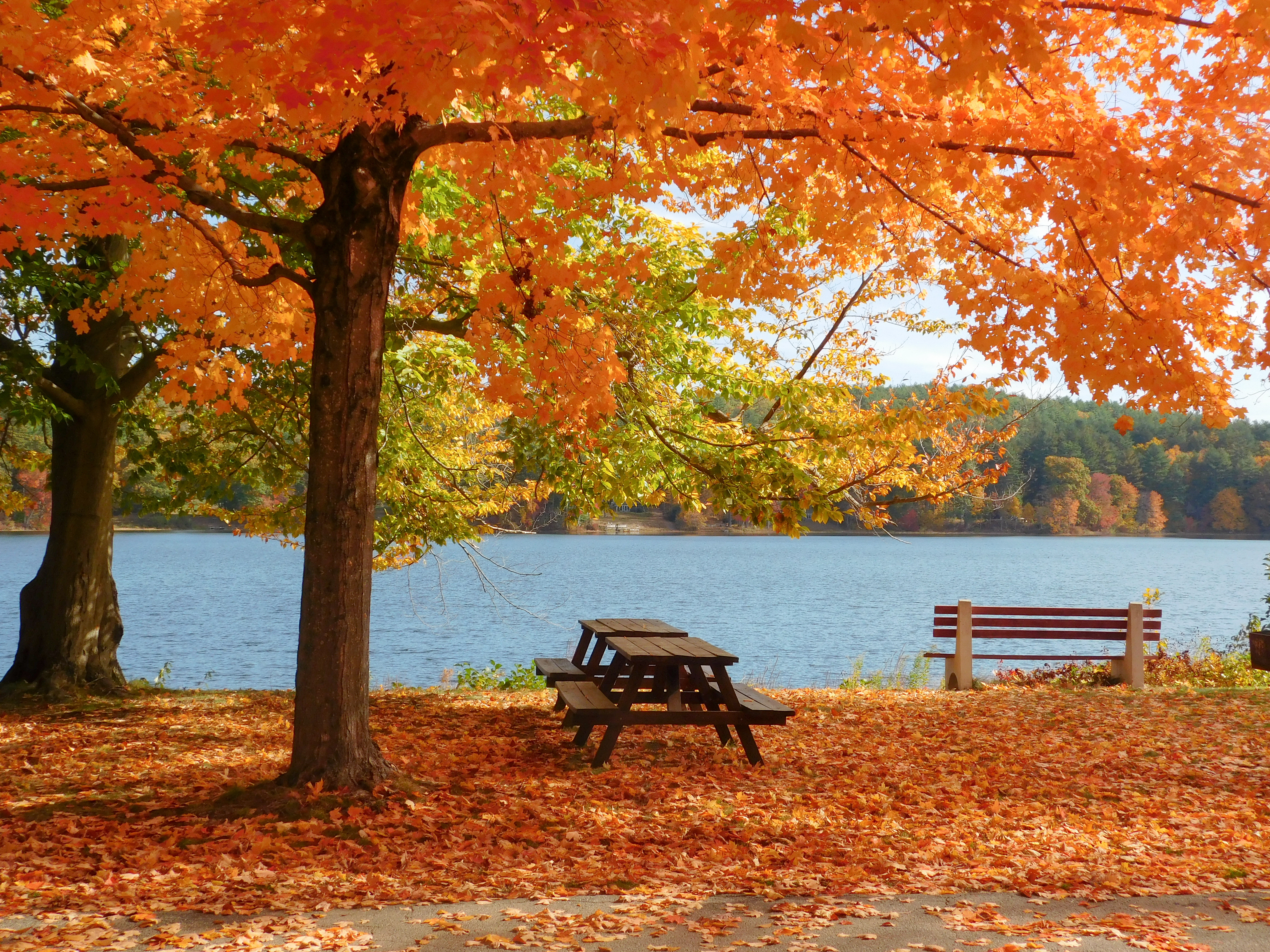 Roseland Park in Woodstock, Conn.