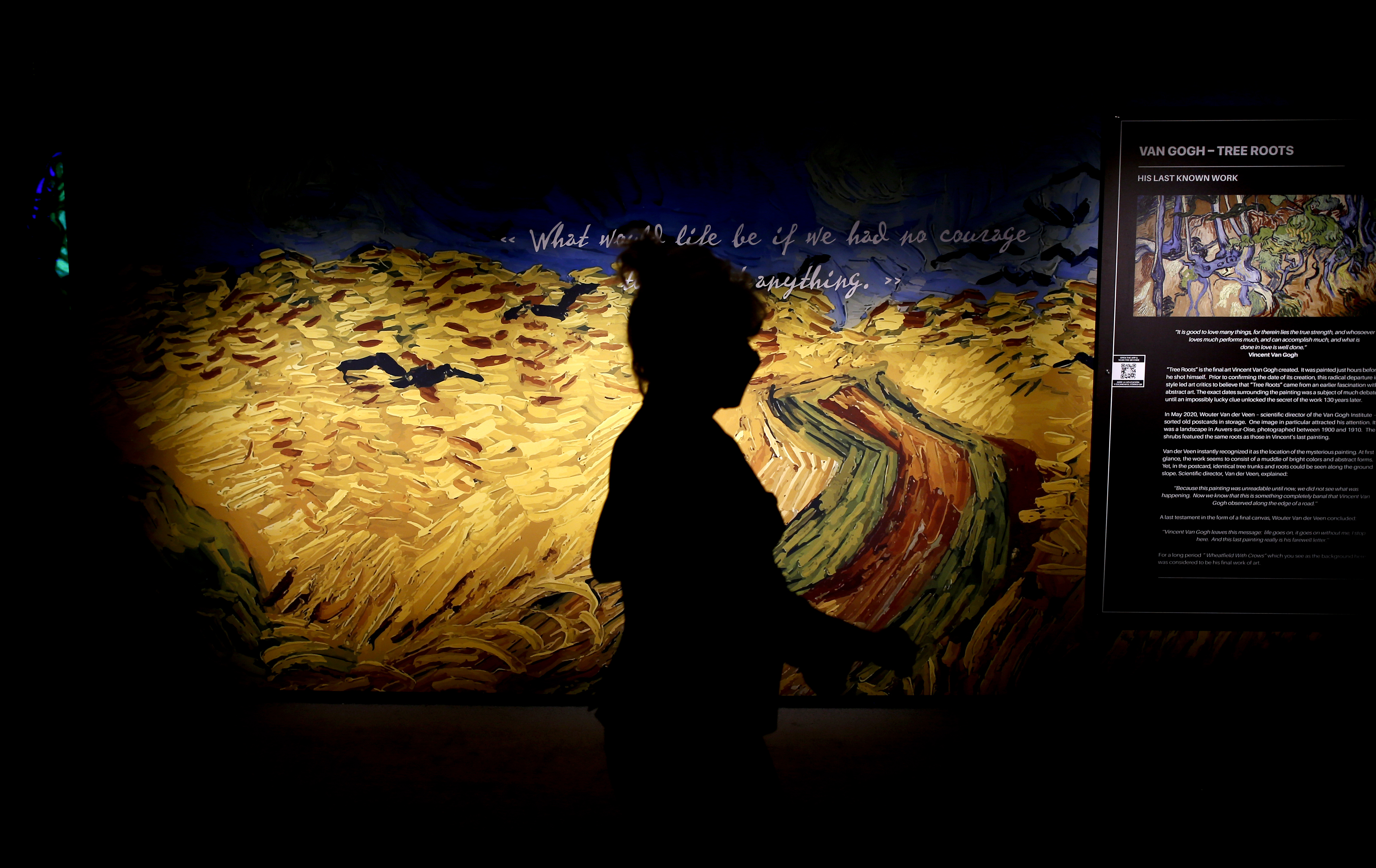 The clues to Vincent van Gogh's final days are hidden in his last