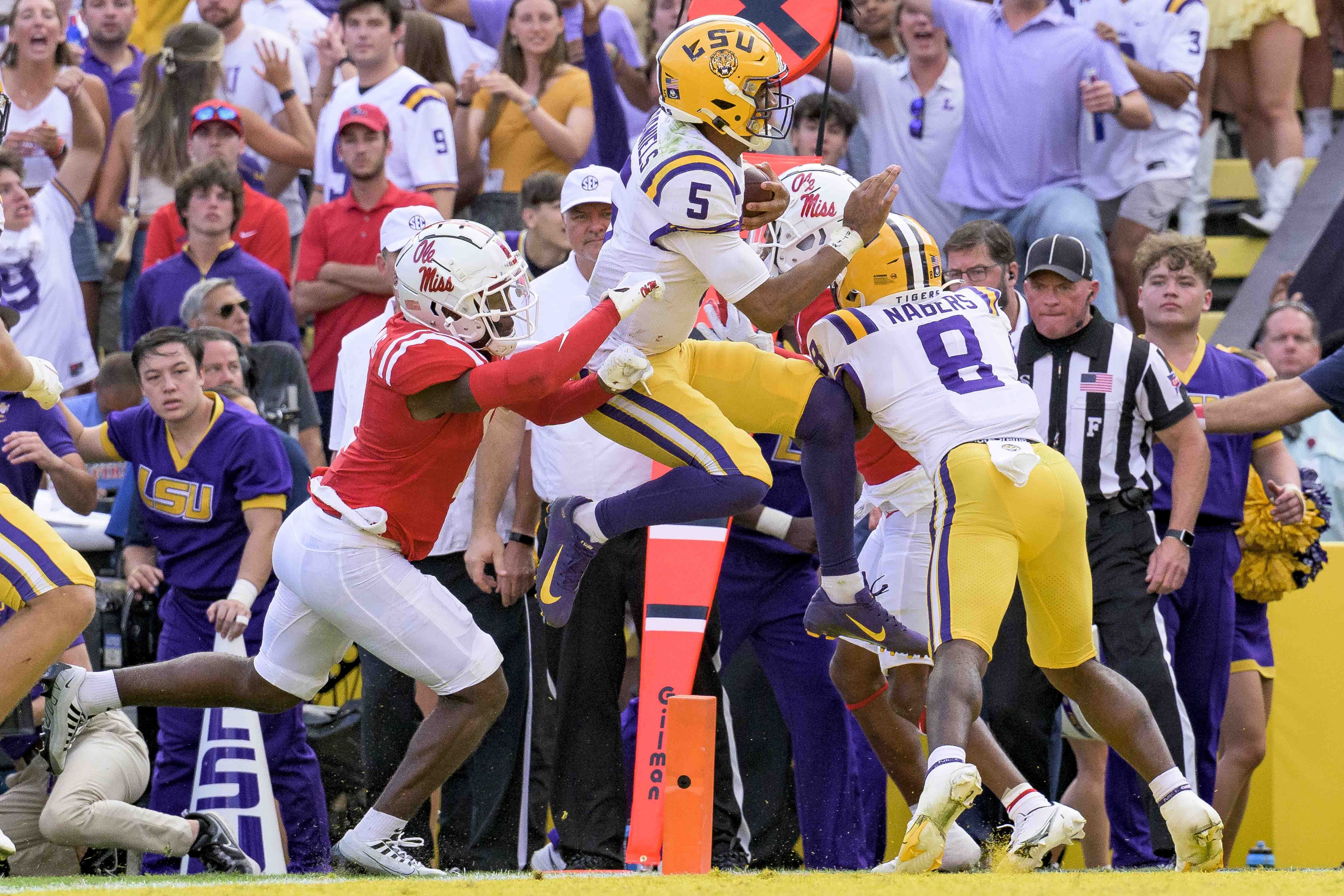 jayden daniels jersey lsu