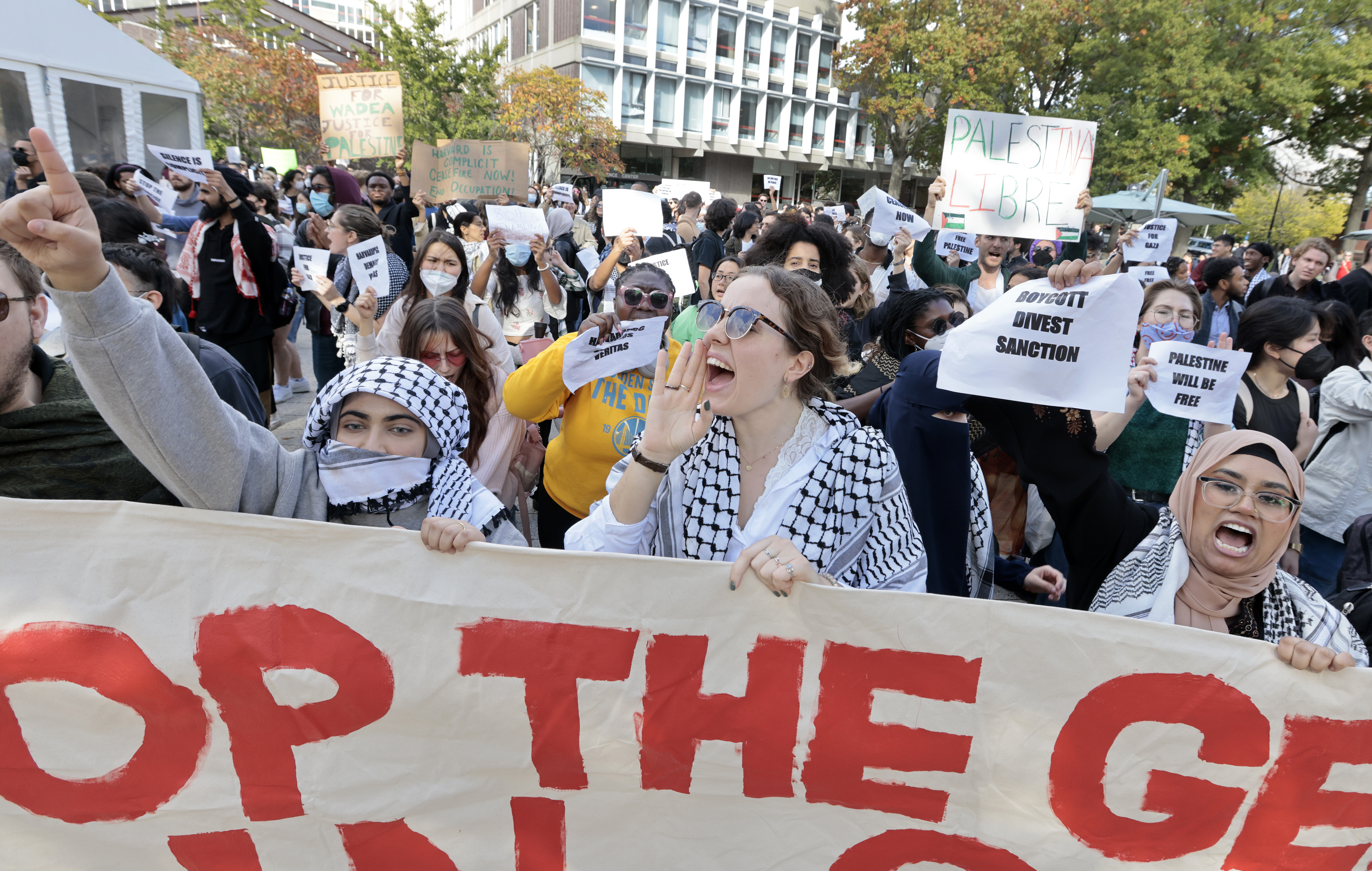 Video shows altercation at pro-Palestine 'die-in' at Harvard