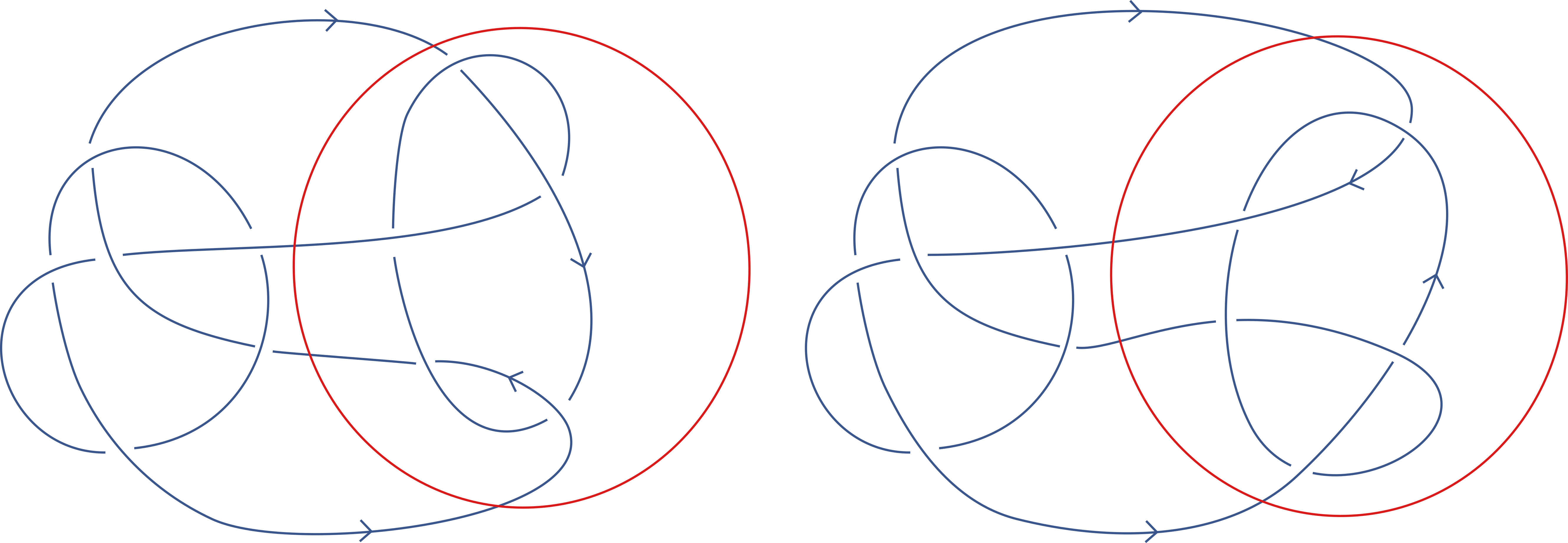 The famous Conway knot, at left, and a similar one, known as the Kinoshita-Terasaka knot. By flipping the area within the red circles, one knot can be transformed into the other.