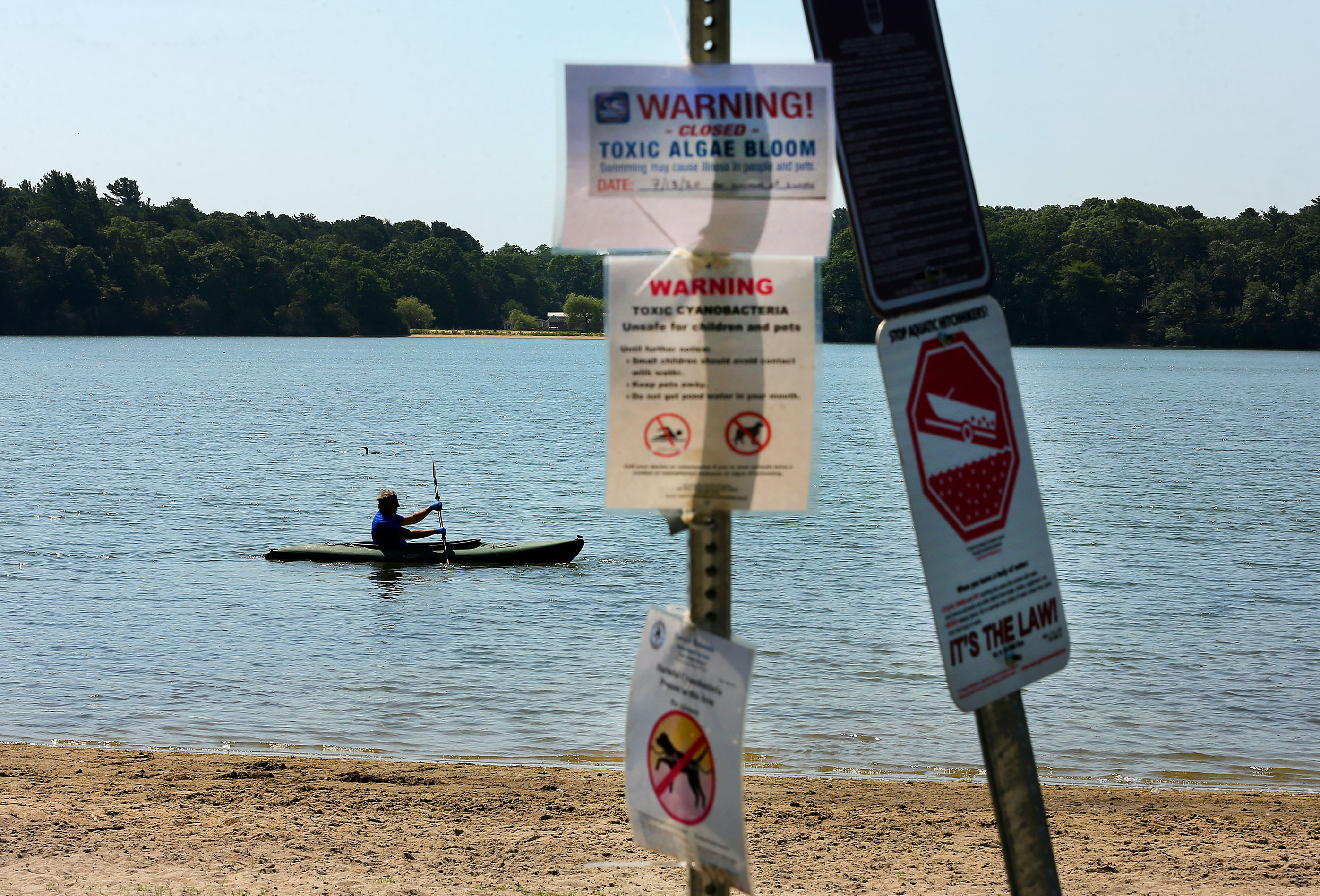 Thomas Cambareri, a certified groundwater professional, kayaked to take samples in the middle of the pond.