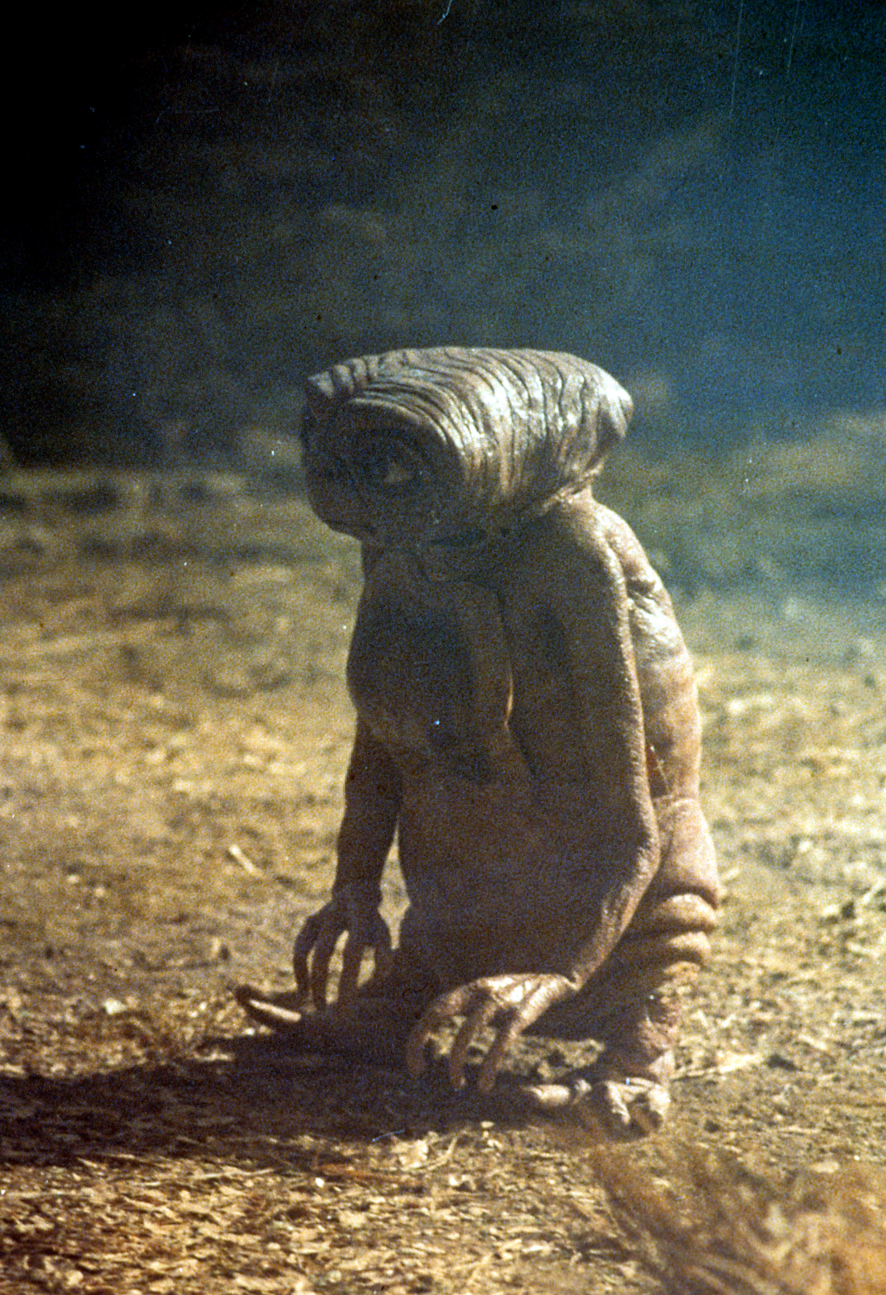 E.T. the extra-terrestrial is now up for grabs for $3 mn - The