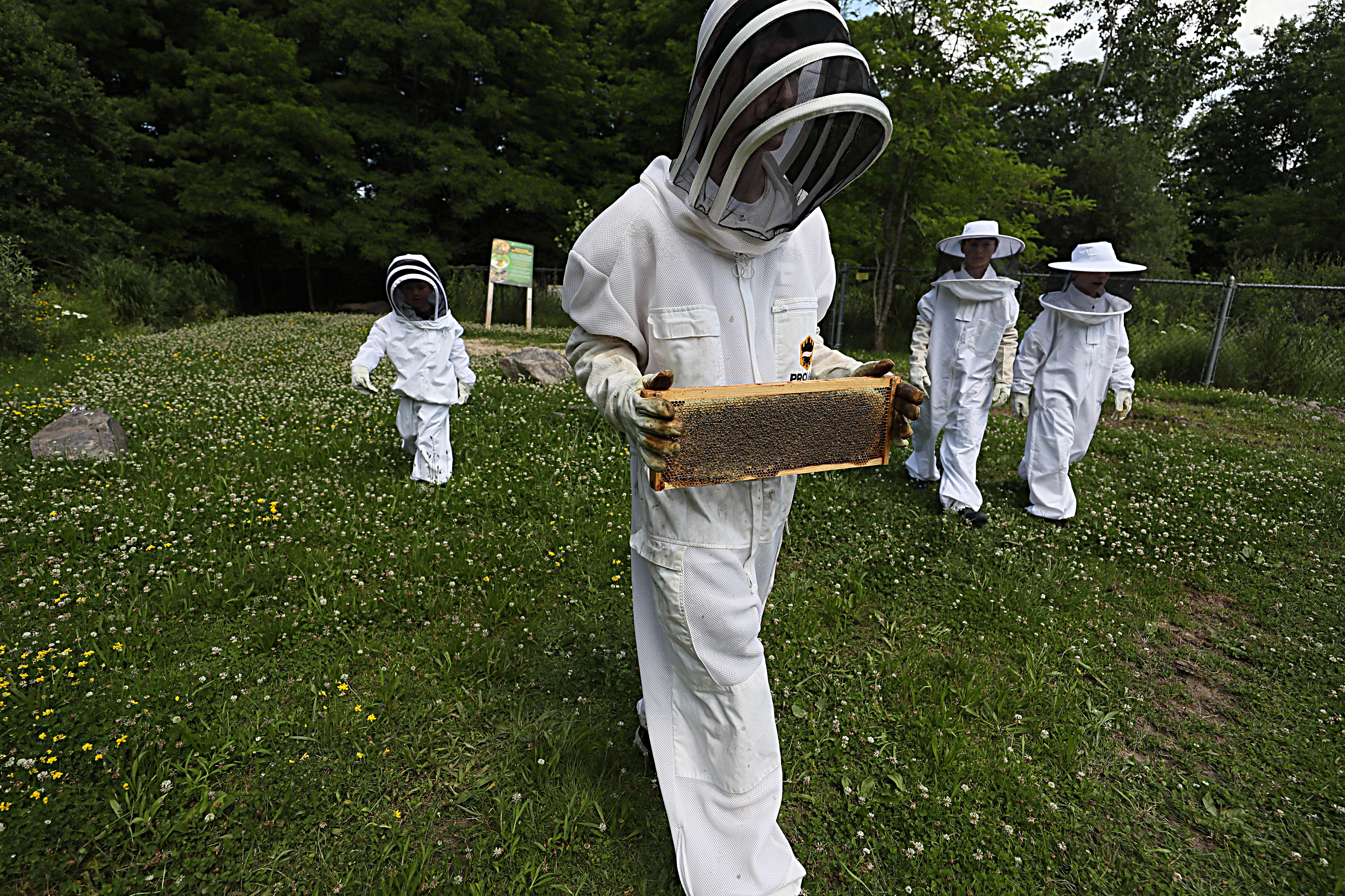 Sebastian Wright, 15, led a group of Boy Scouts in the art of harvesting honey during camp in Milton on June 28.