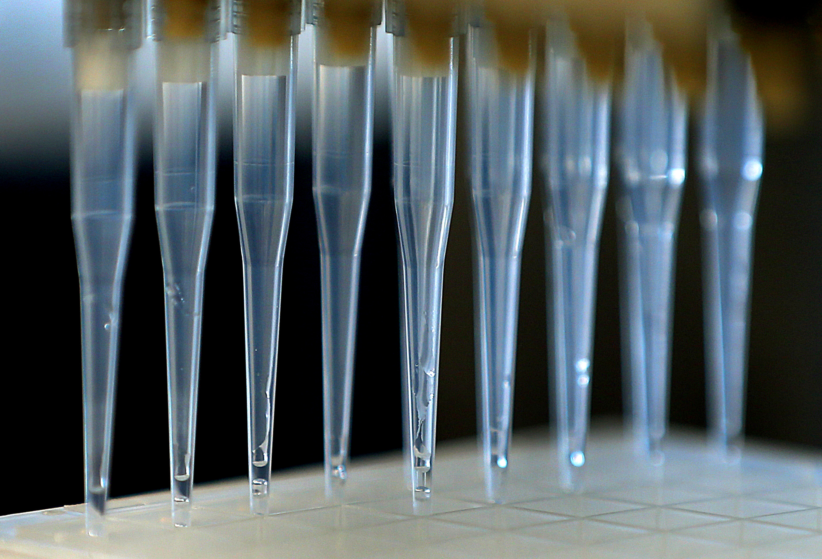 Northeastern University has its own lab to test their students for COVID-19 at a facility off campus in Burlington.