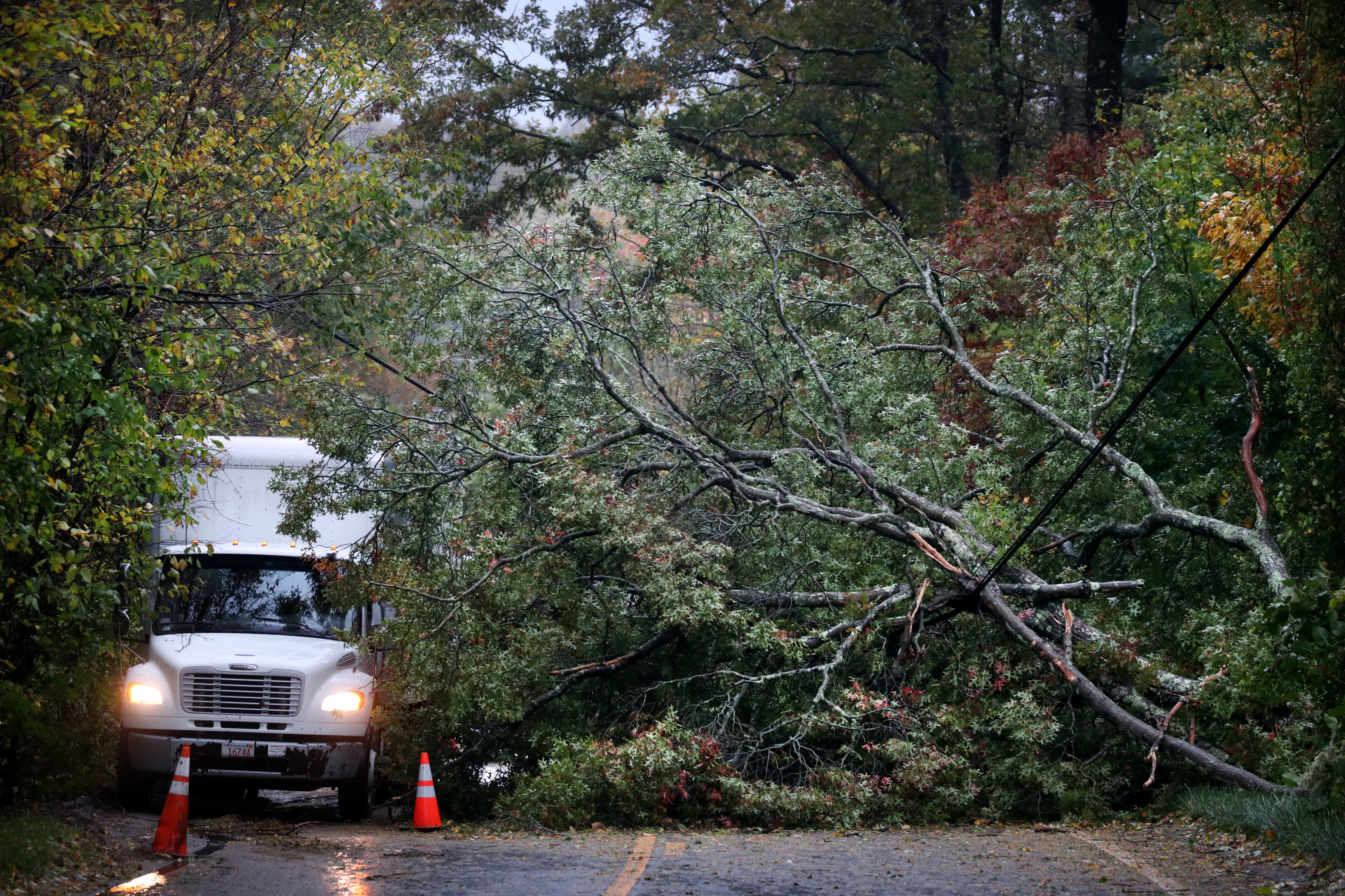 A truck passed a fallen tree on route 3A in Marshfield on Wednesday.