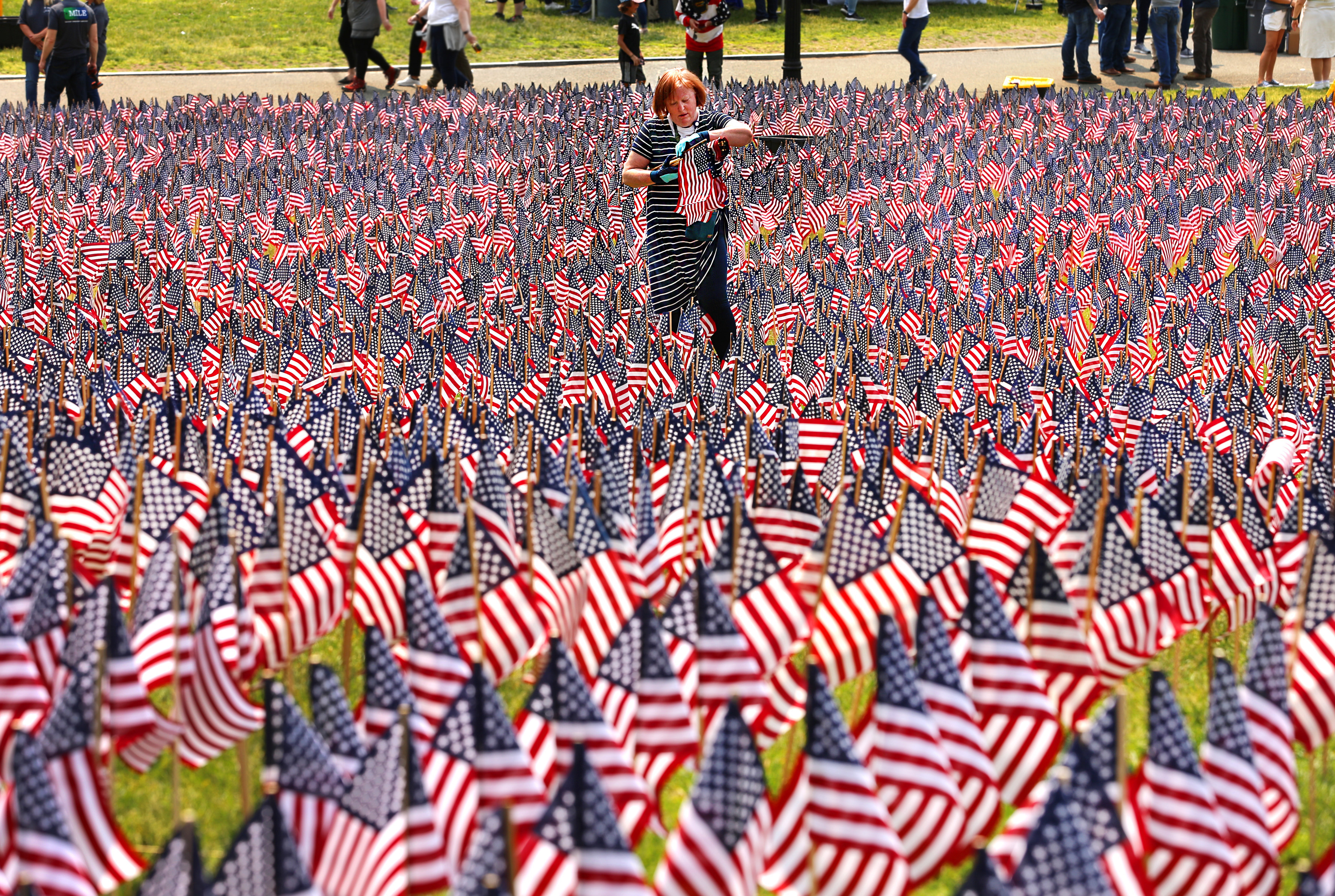 Volunteers plant 37,000 flags on Boston Common ahead of Memorial