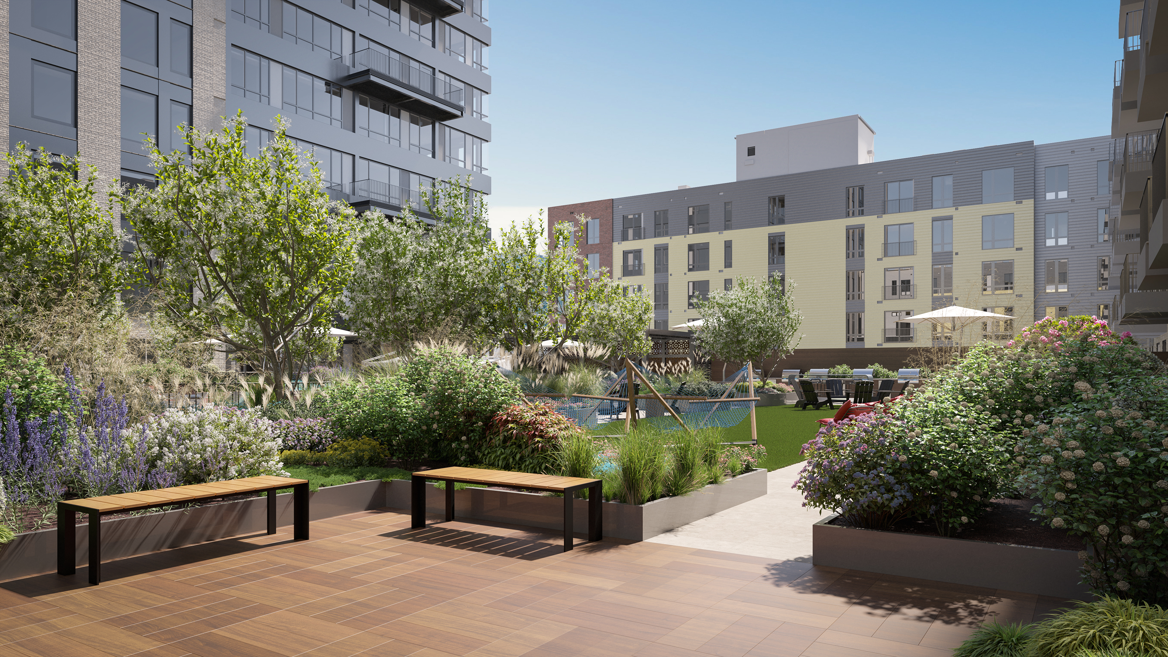miscela-somerville-rendering-garden