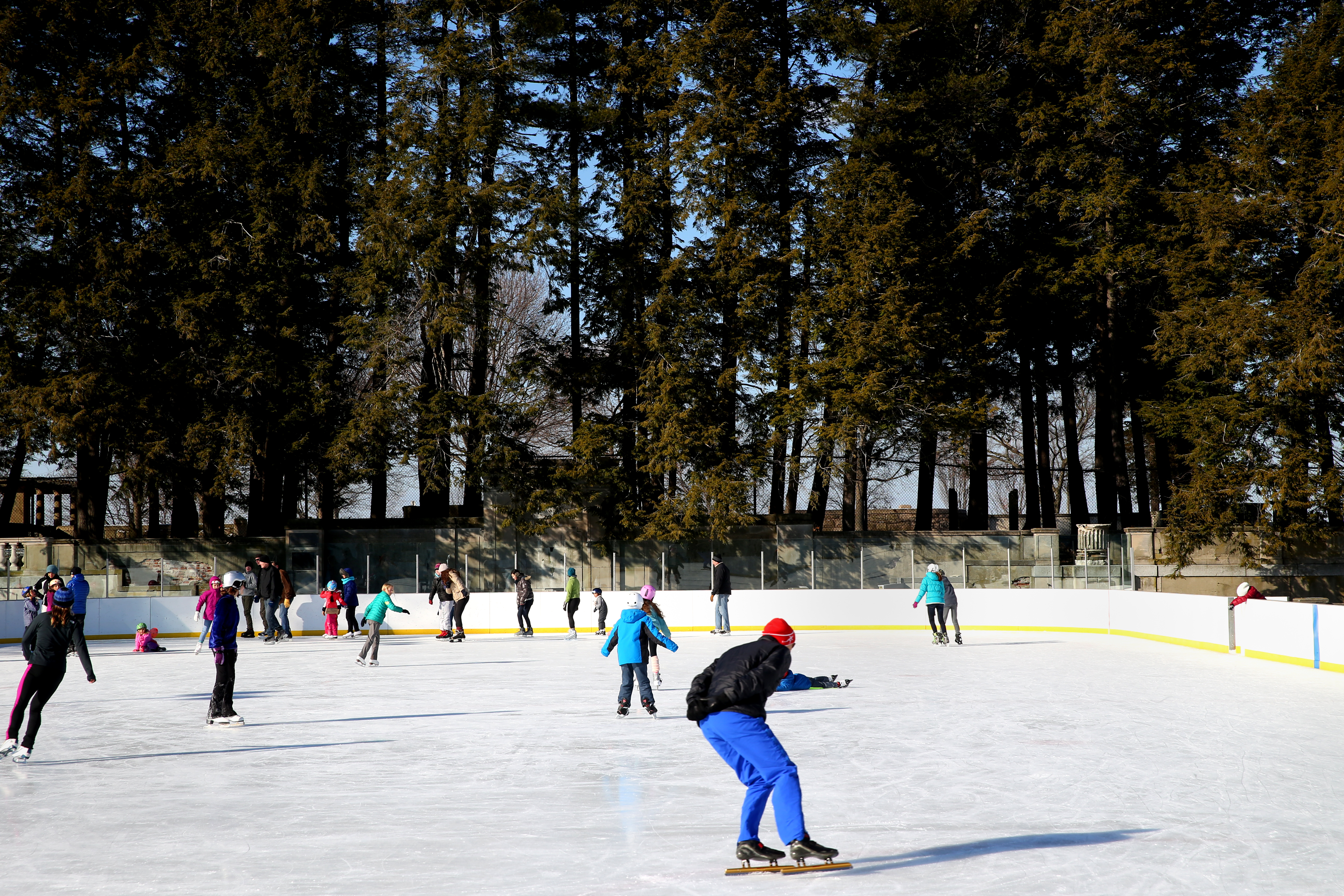 Go skating with Wally and Tessie on the Frog Pond