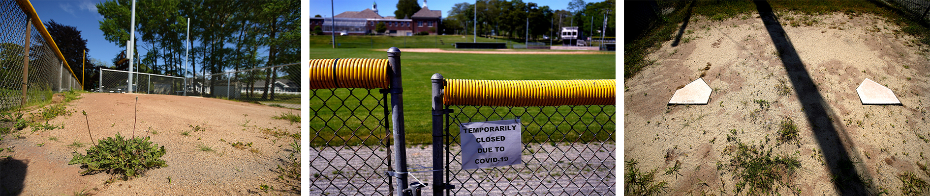 Cape League fields sit dormant with the cancellation of the season.