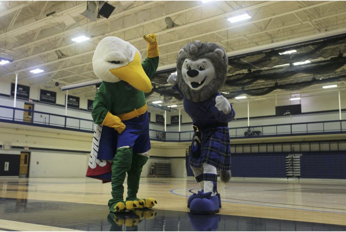 San Diego Gulls Mascot Gulliver is Unveiled 