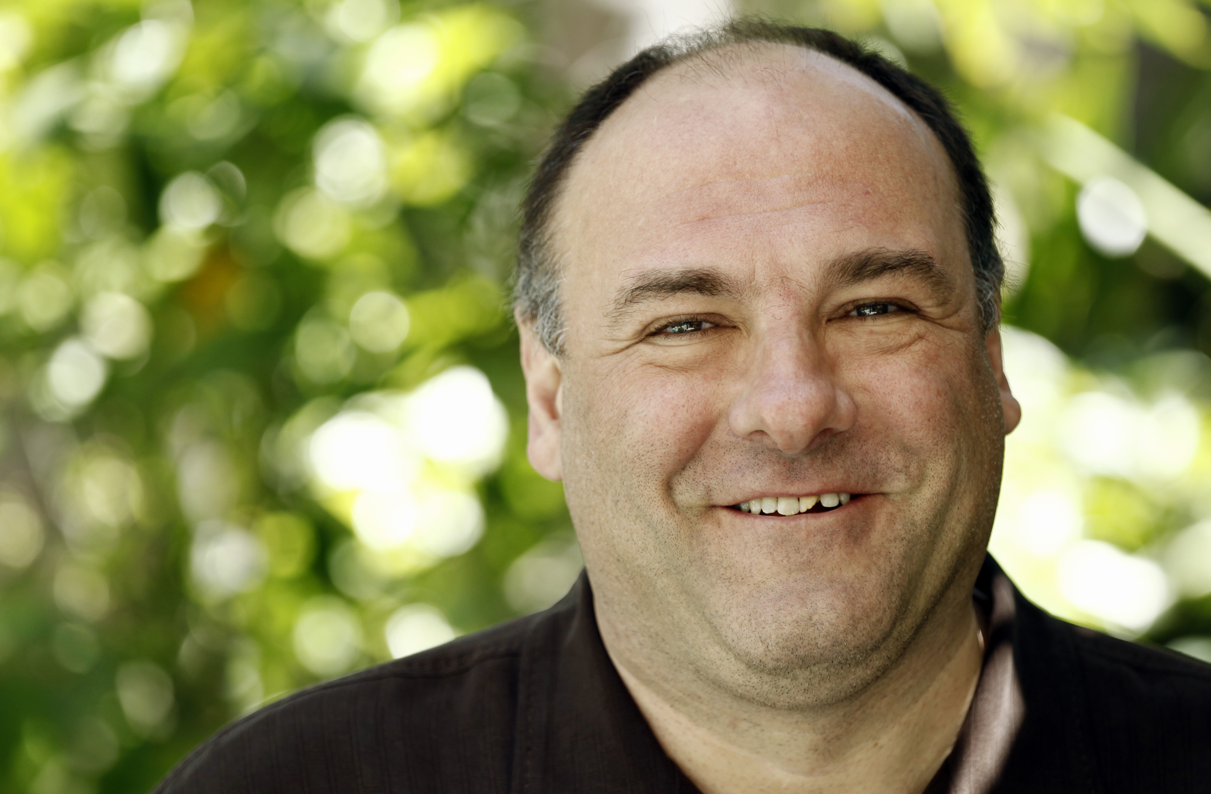 James Gandolfini 2011 yılında