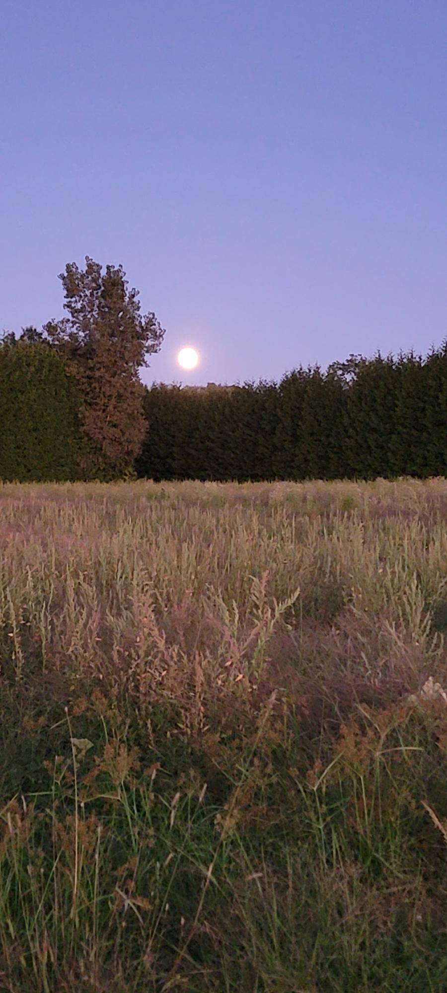 Moonrise over Lookout Farm on September 19, 2021.