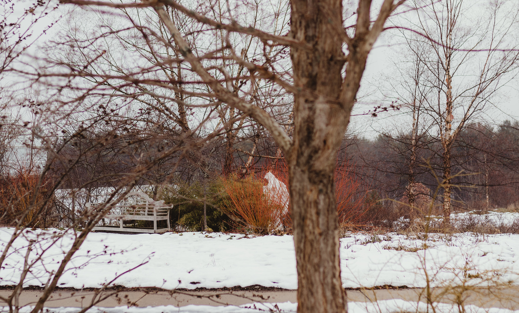 Can you spot the Yeti at Tower Hill Botanic Garden?