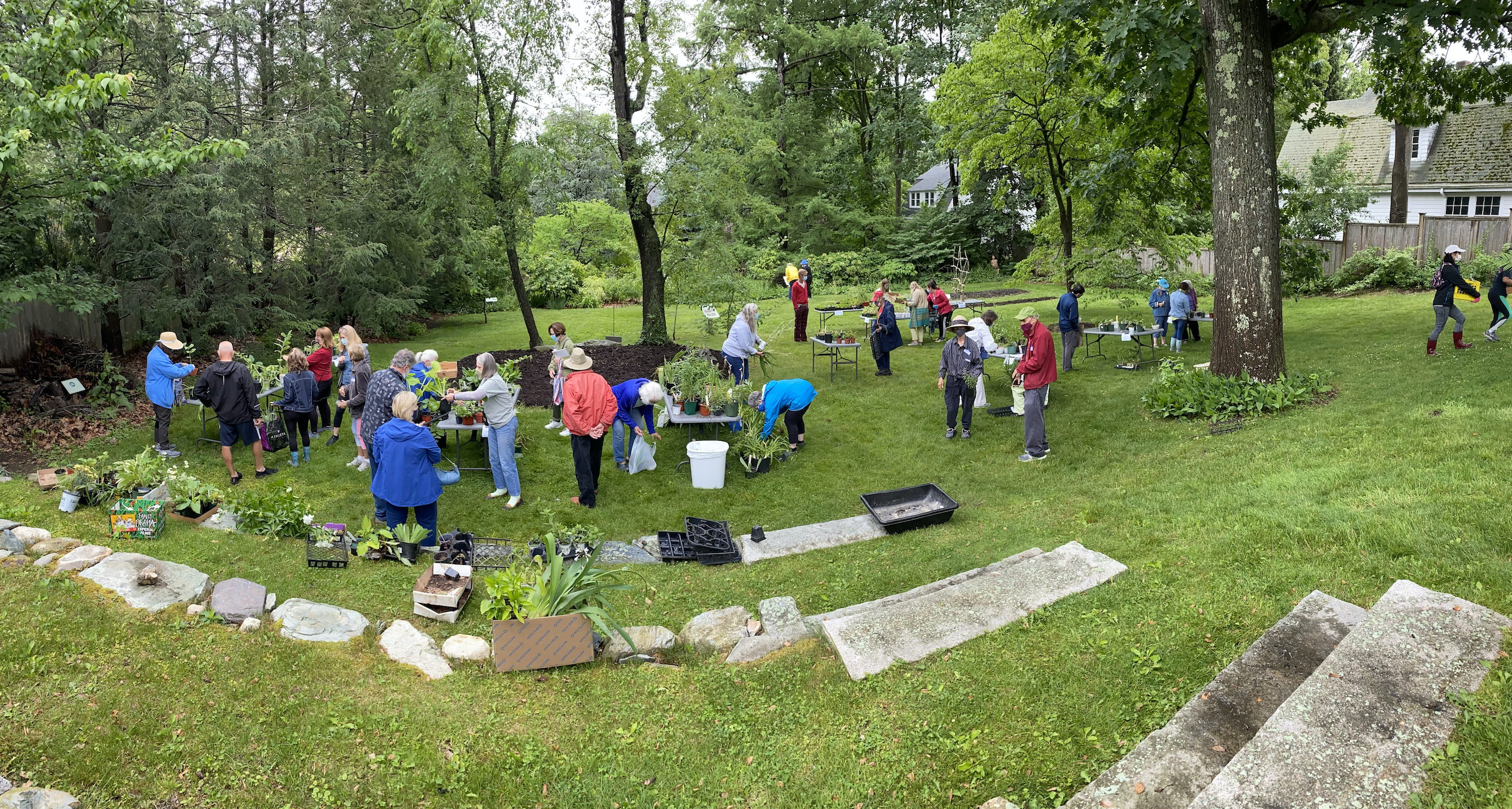 newton gardeners swap plants and joy at annual event the boston globe