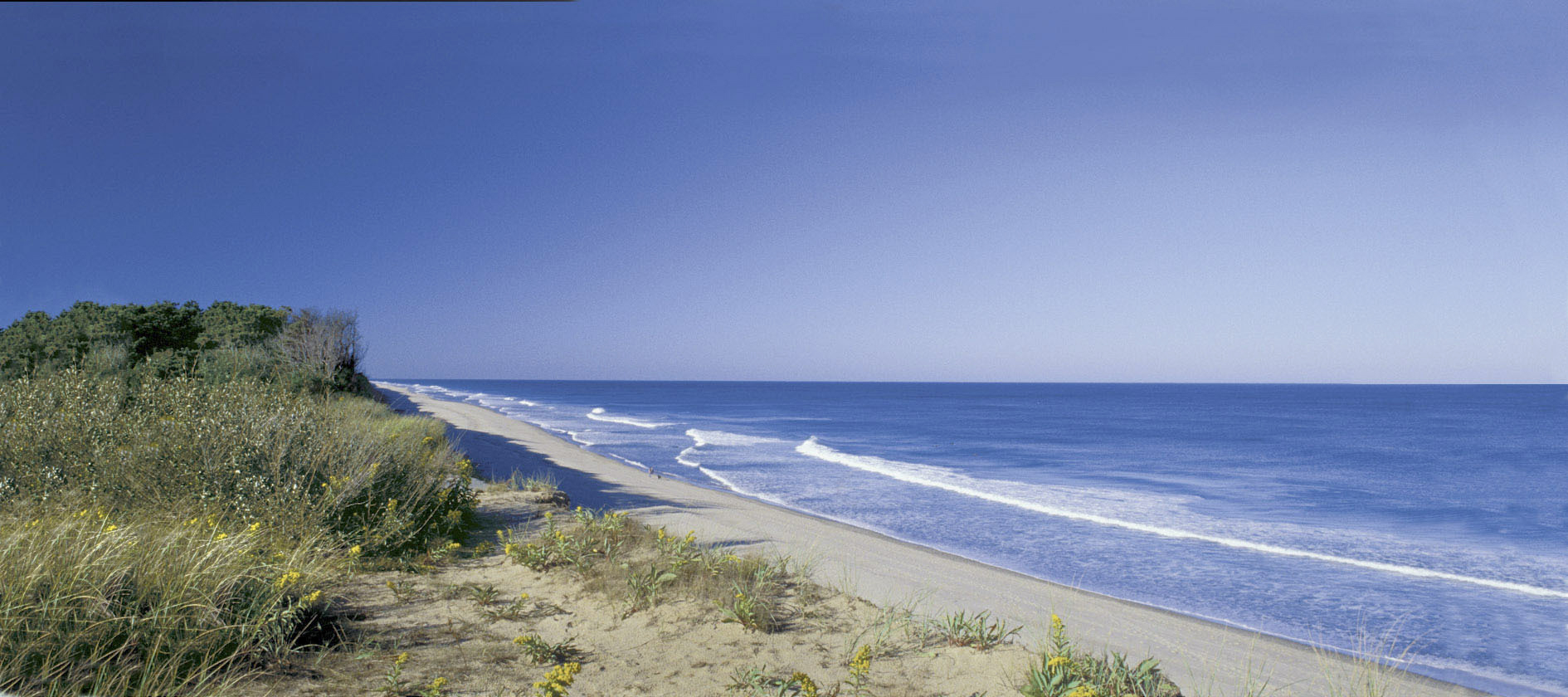 Coast Guard Beach on Cape Cod.