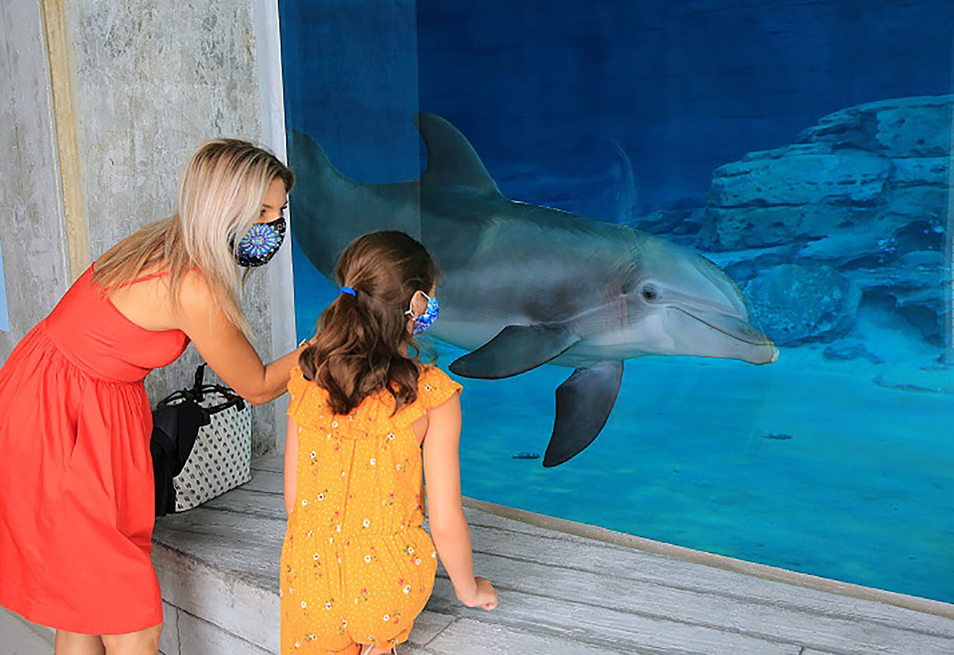 Wyndham Grand Clearwater Beach on Florida’s Gulf coast has partnered with the local Clearwater Marine Aquarium to offer a new Study Hall in Paradise program, during which school-age children are supervised as they complete their own school work.