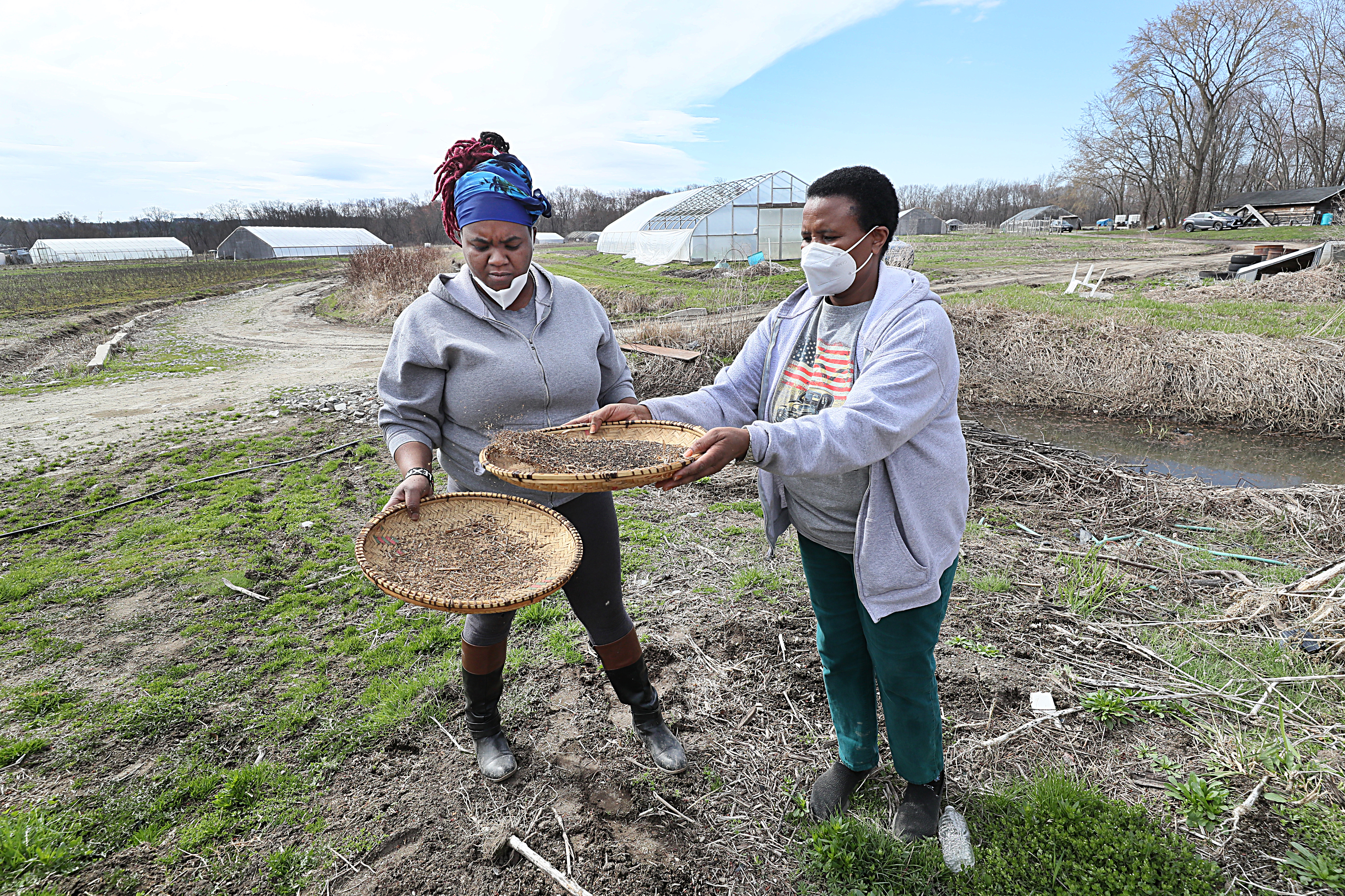 Henrietta and Veronicah Nyaigoti work with baskets of chinsaga spider plant seeds.