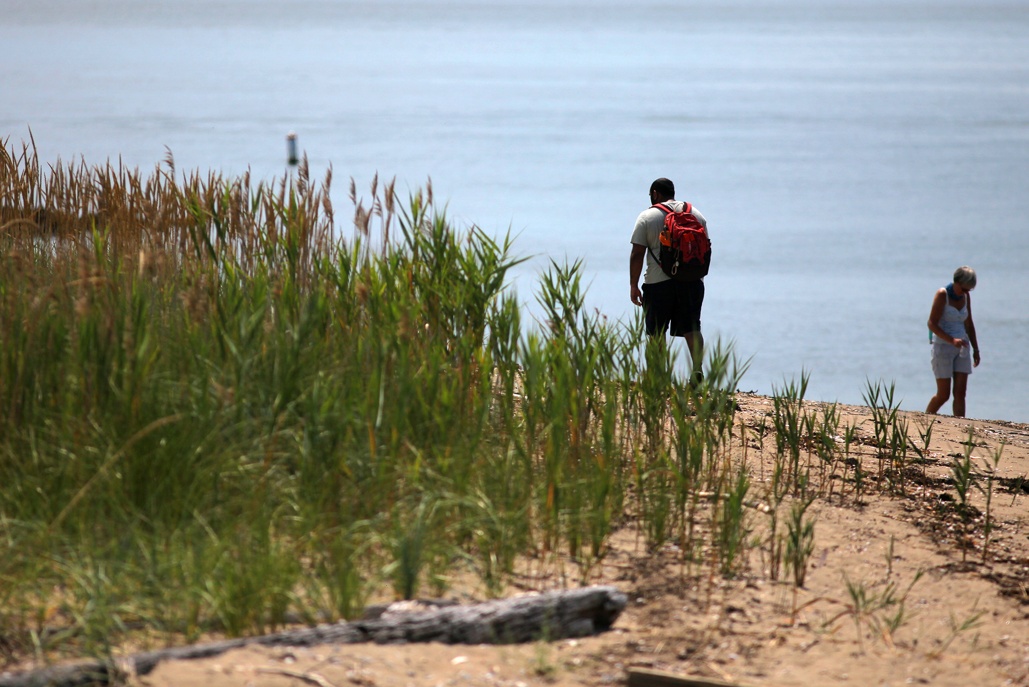 People strolled on the beach on Spectacle Island, which is one of the Boston Harbor islands.