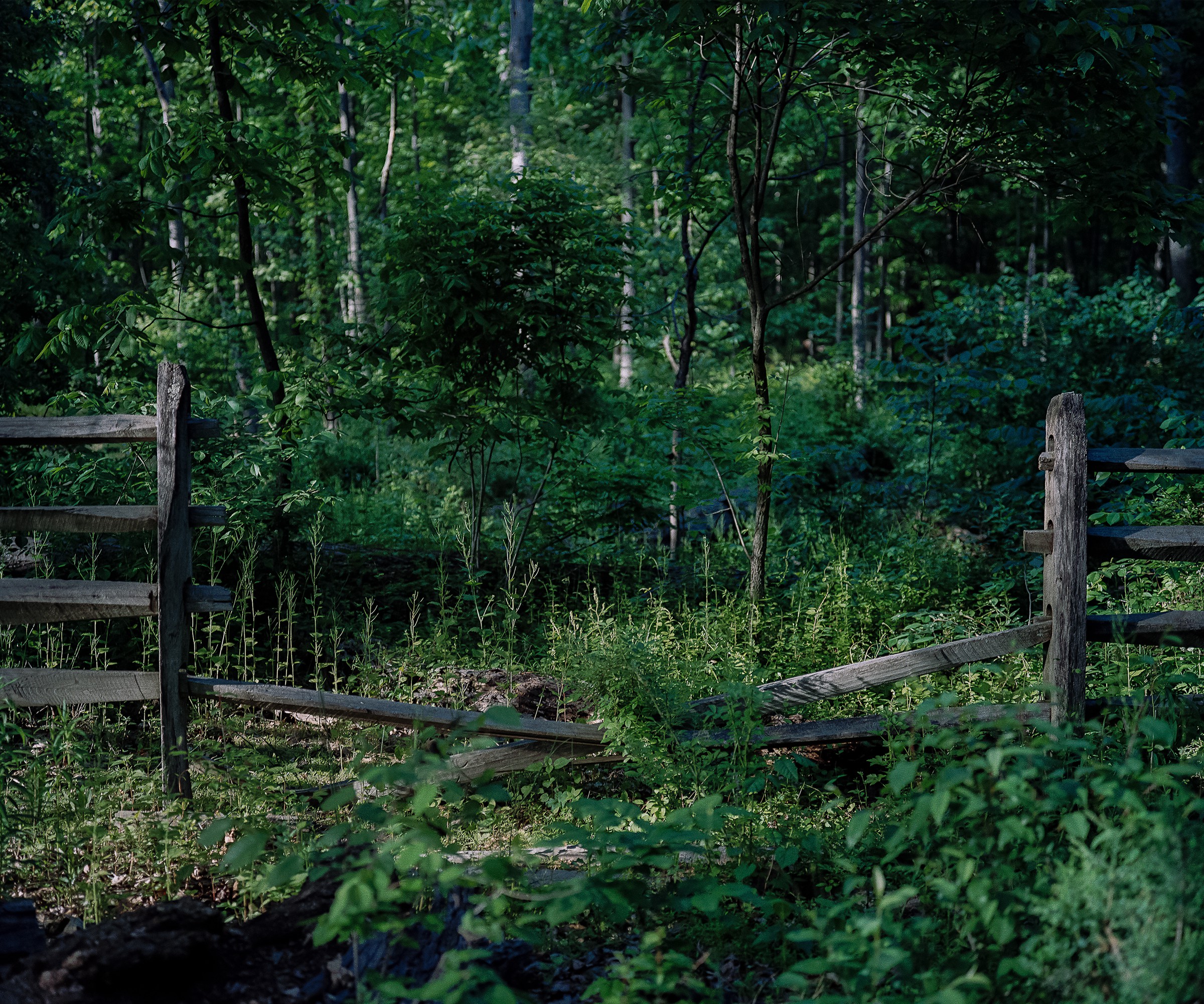 Oscar Palacio, "Fence, Gettysburg National Military Park," 2009. From the series "American History Revisited."