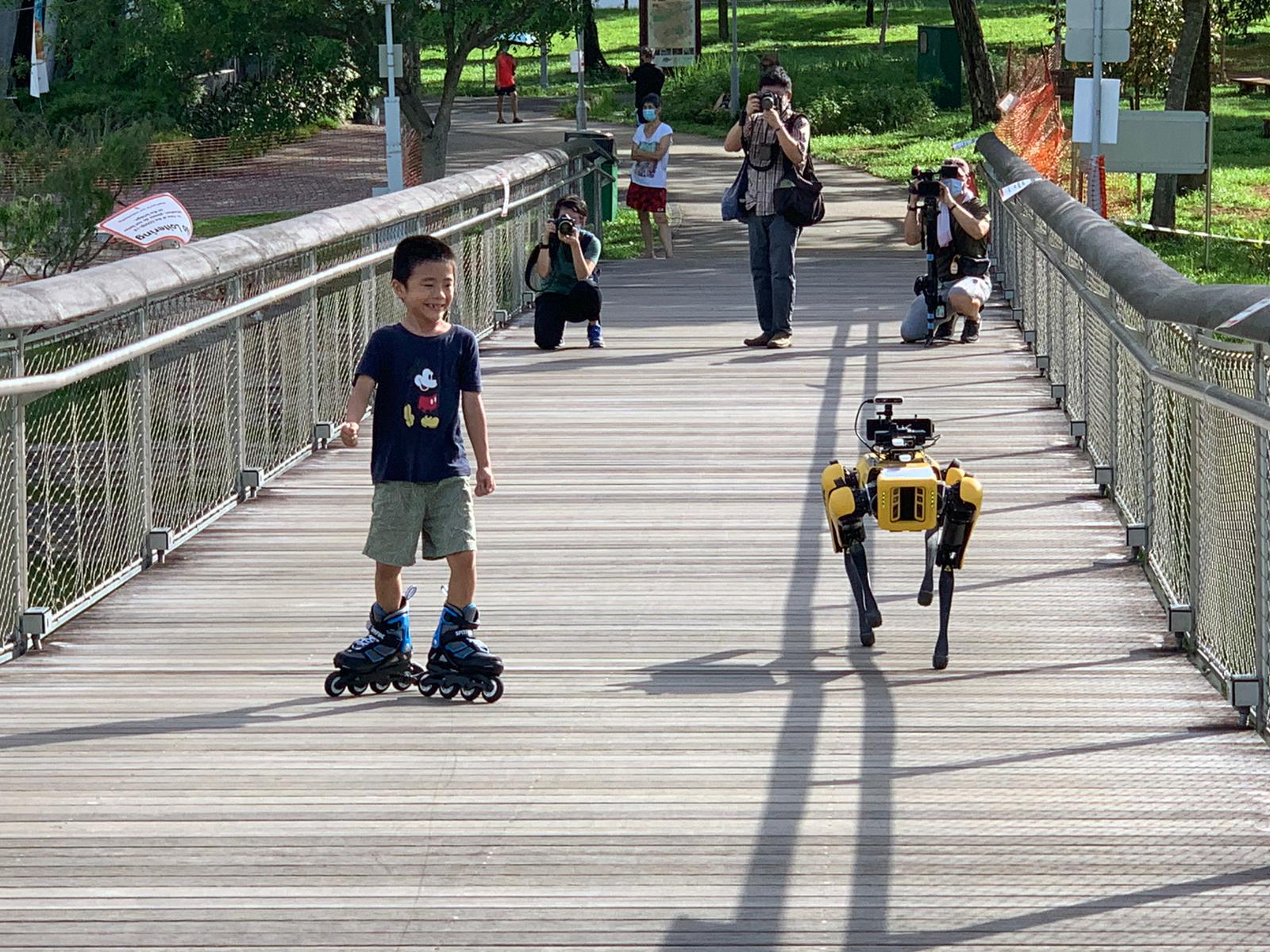 yellow robot dog