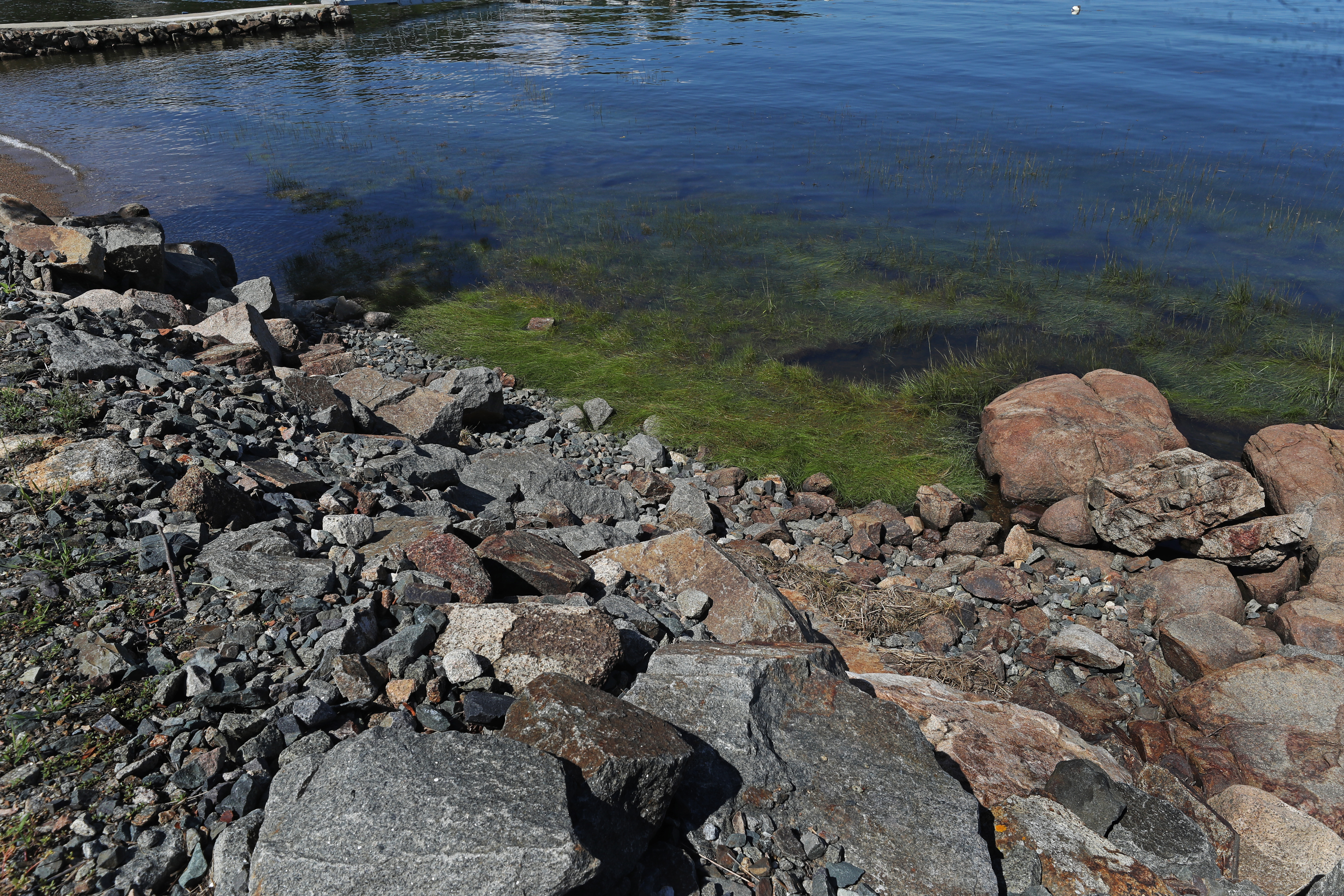 A view of where the seawall has collapsed into the marsh area at Conomo Point.