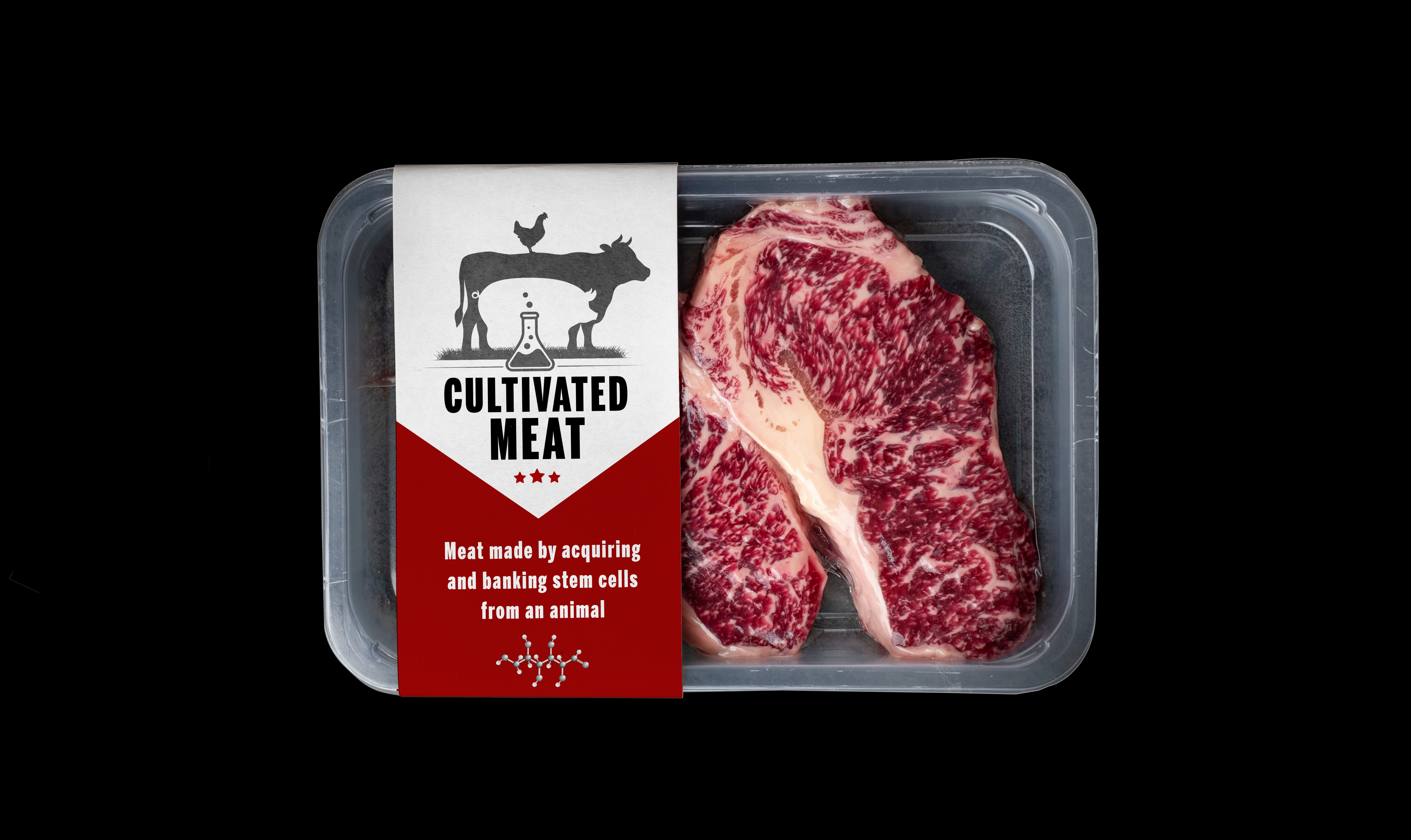 The future of food? Slaughter-free meat (not available for sale yet!) , lab meat
