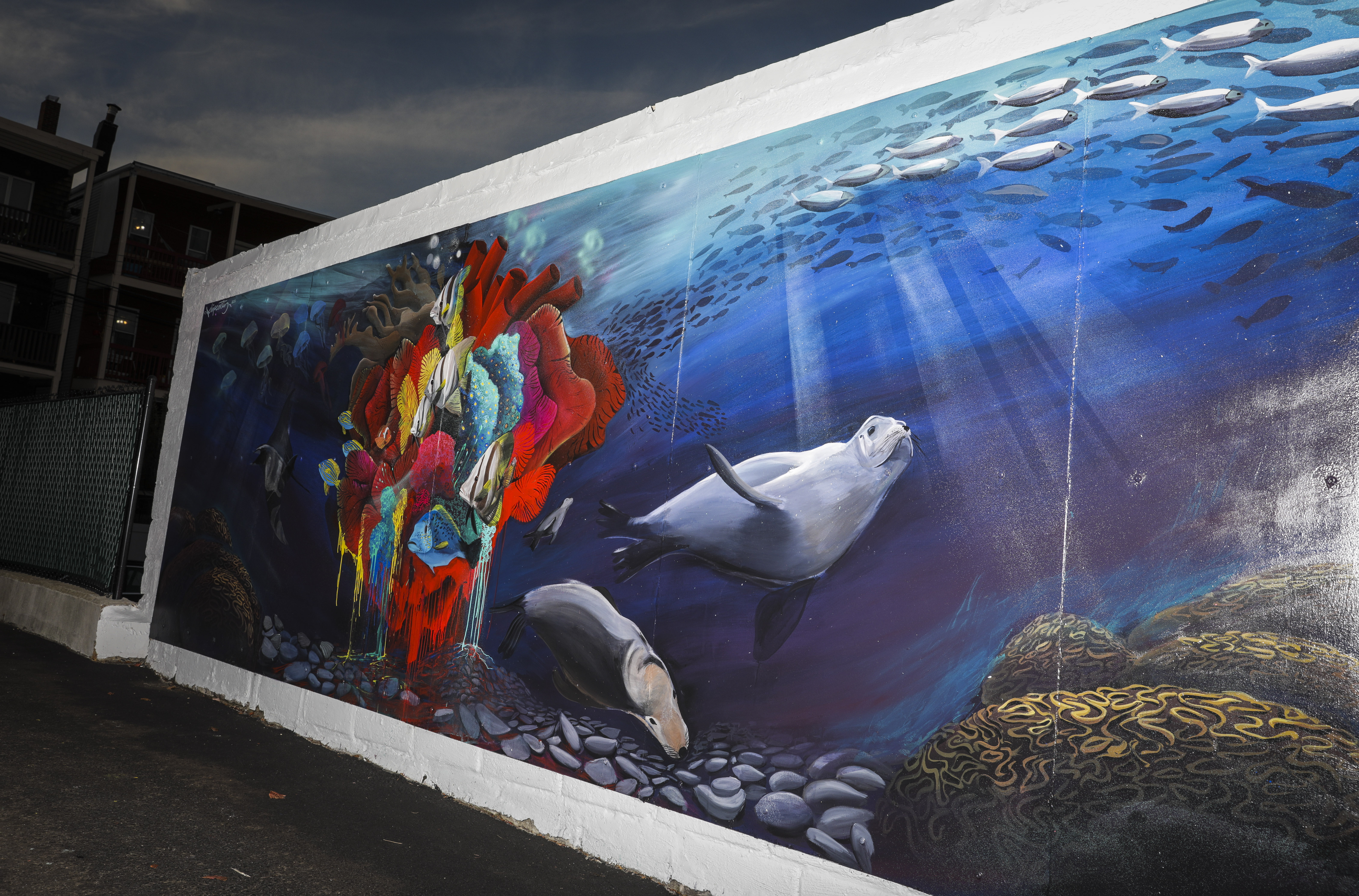 “All of our oceans are connected," said artist Felipe Ortiz, "so if anything happens in one ecosystem it’s like a domino effect.”