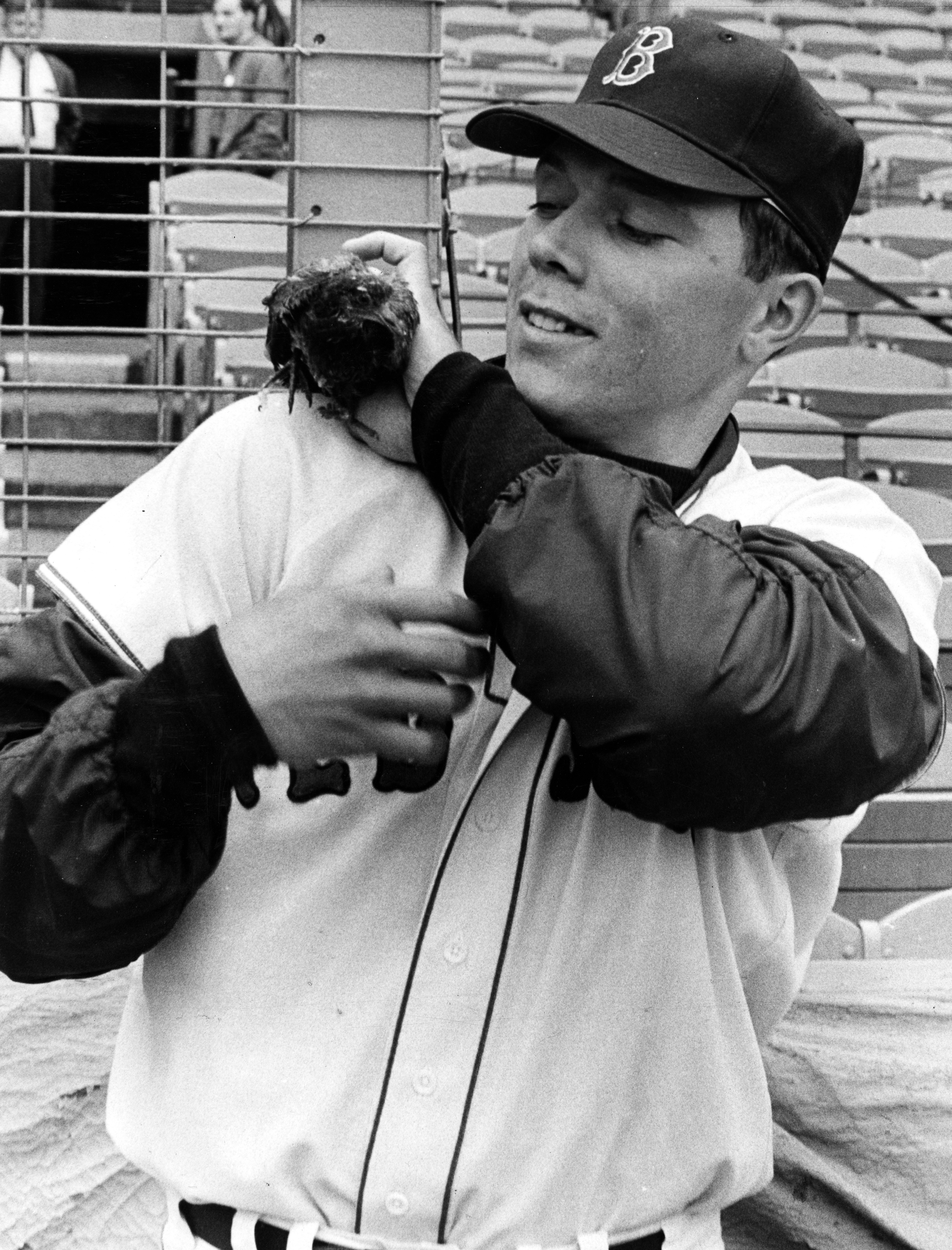 Mr. Ryan posed for a photograph with a pigeon on his shoulder during the 1967 Red Sox Impossible Dream season.