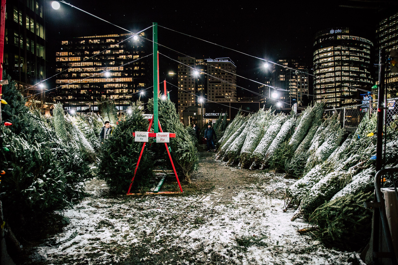 A winter wonderland in your own backyard Seaport District to host