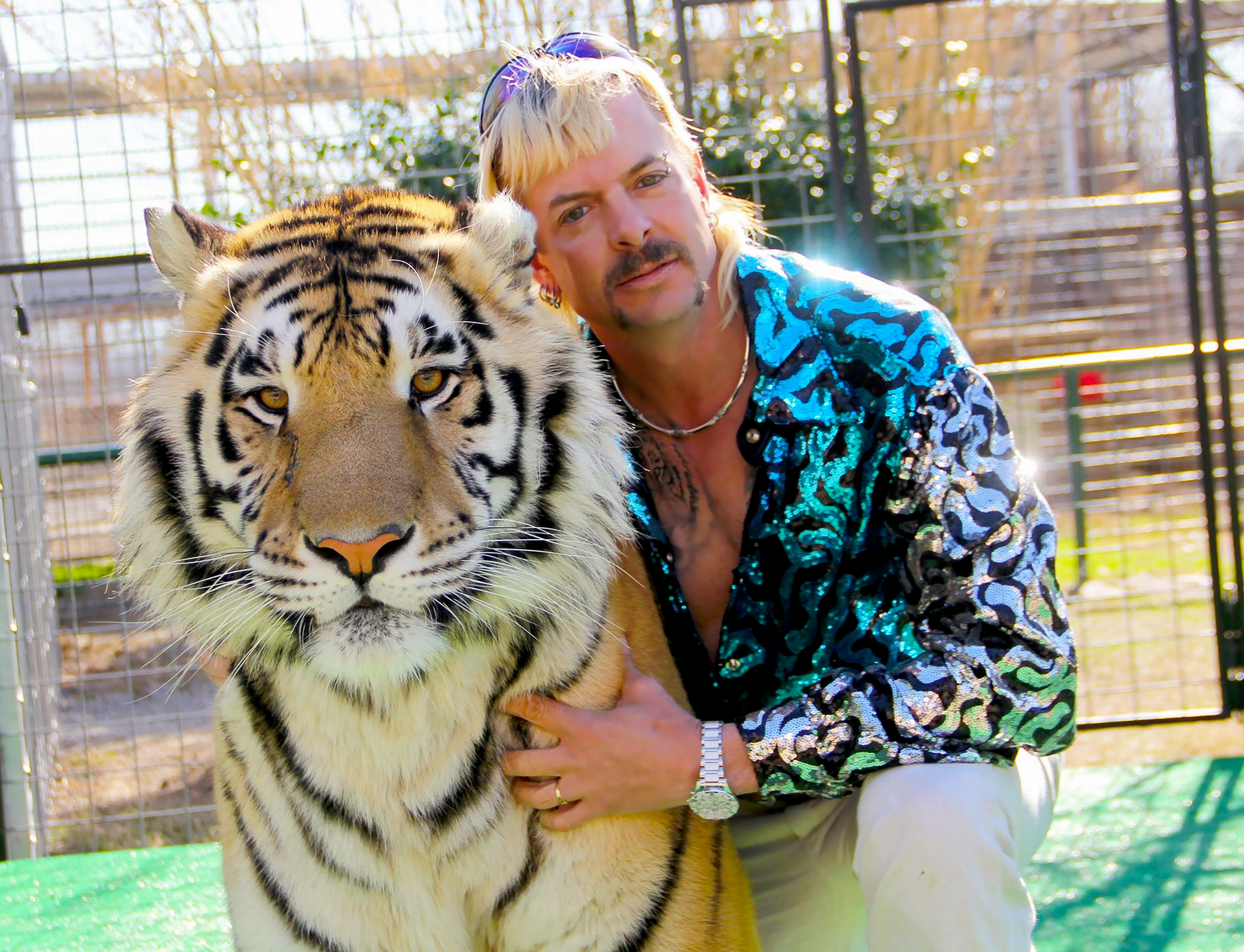 The Netflix series "Tiger King: Murder, Mayhem and Madness" provided a welcome distraction from 2020's woes.