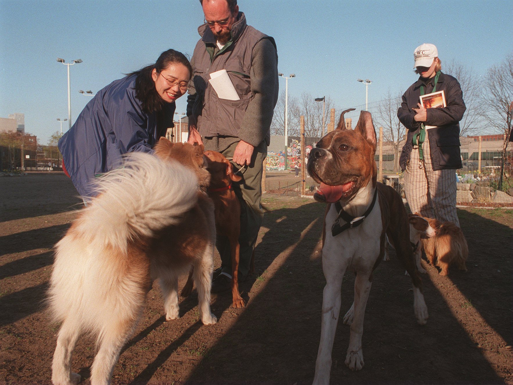 For the Love of Dogs and Baseball - CityDog Magazine