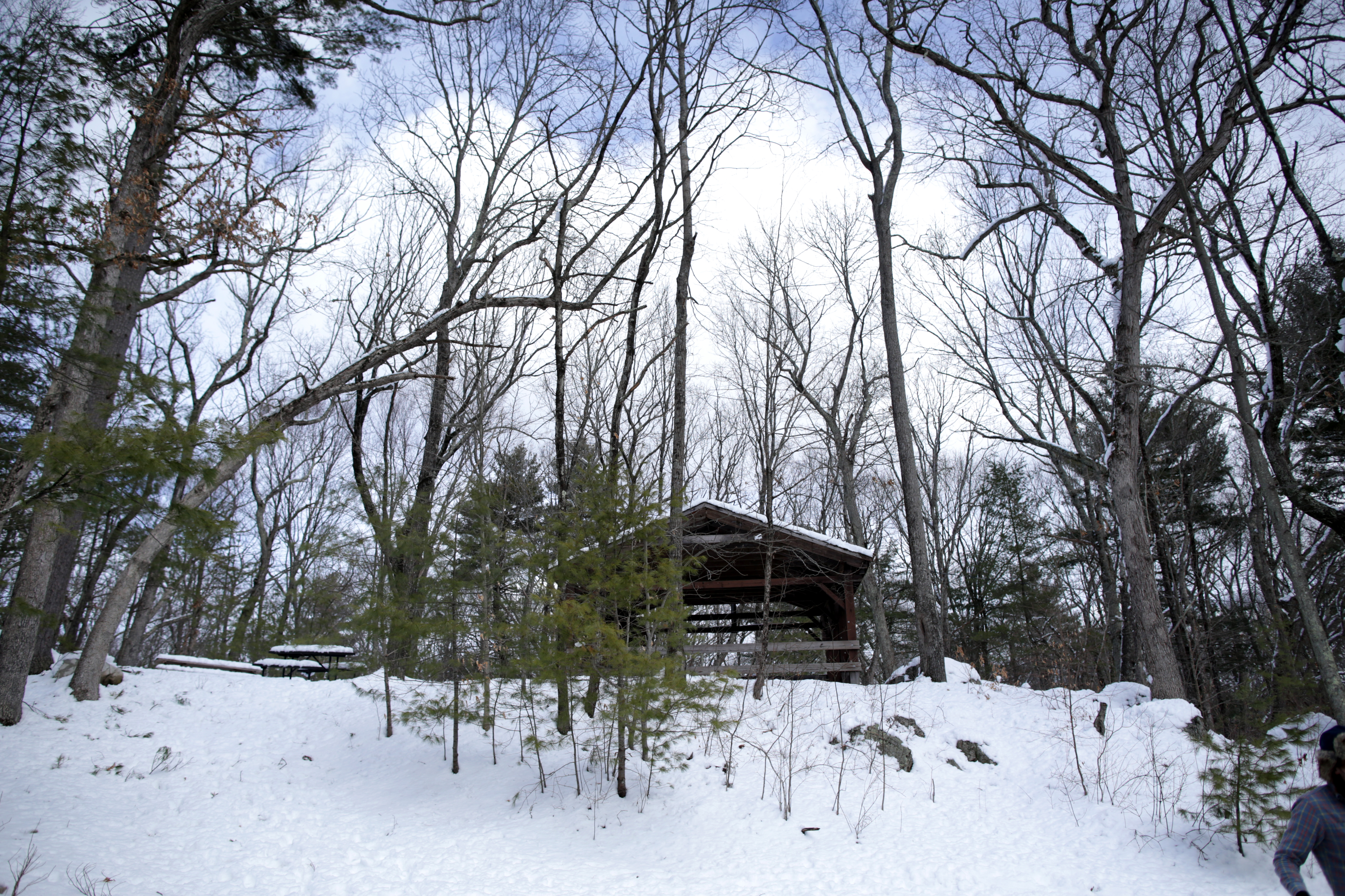 The Hale Reservation in Westwood.