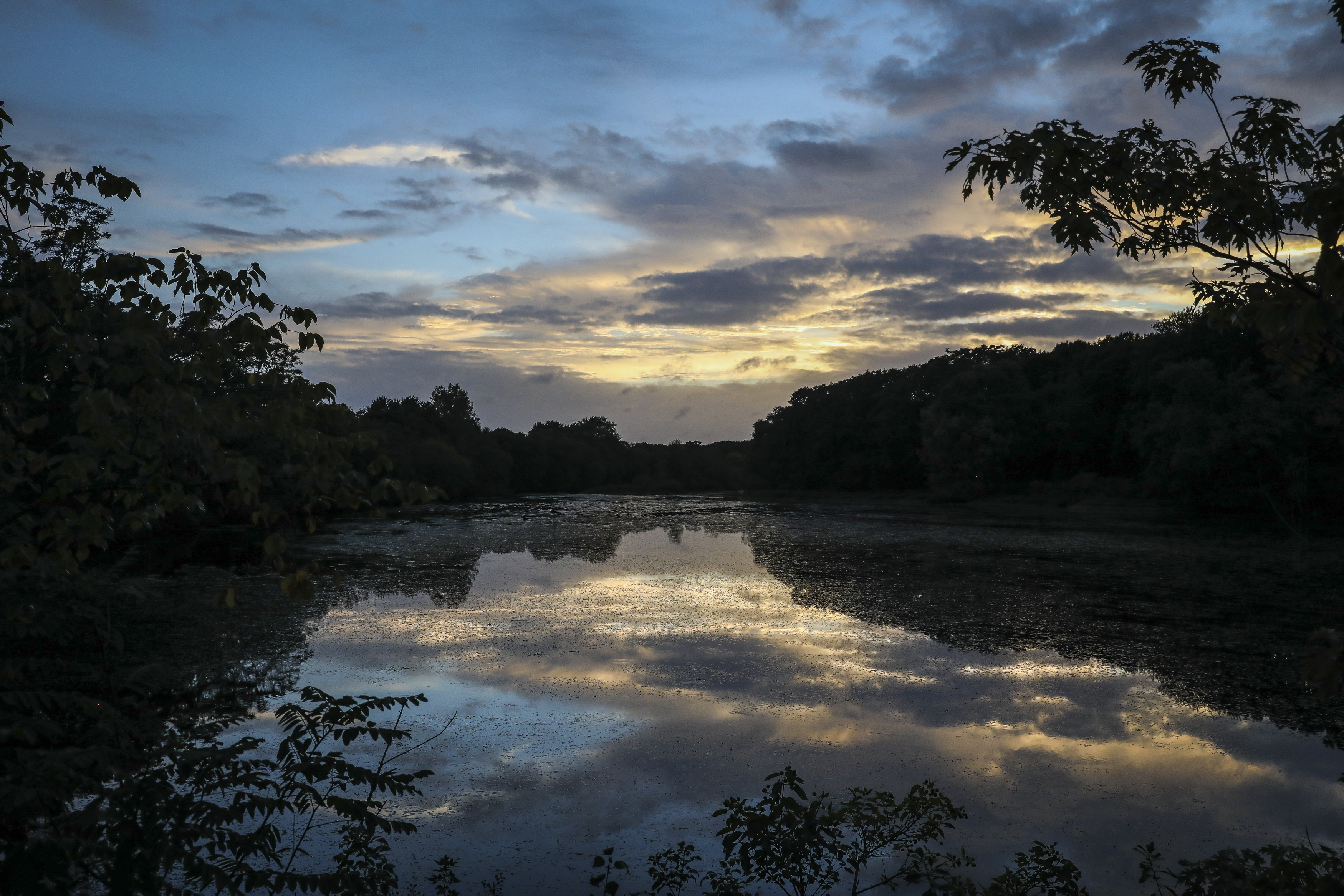 The sun set over Mill Pond Reservation in Hyde Park. In 2006 and 2007, the state Department of Environmental Protection oversaw a large removal of contaminated sediments in Mother Brook, which feeds into the Neponset River.
