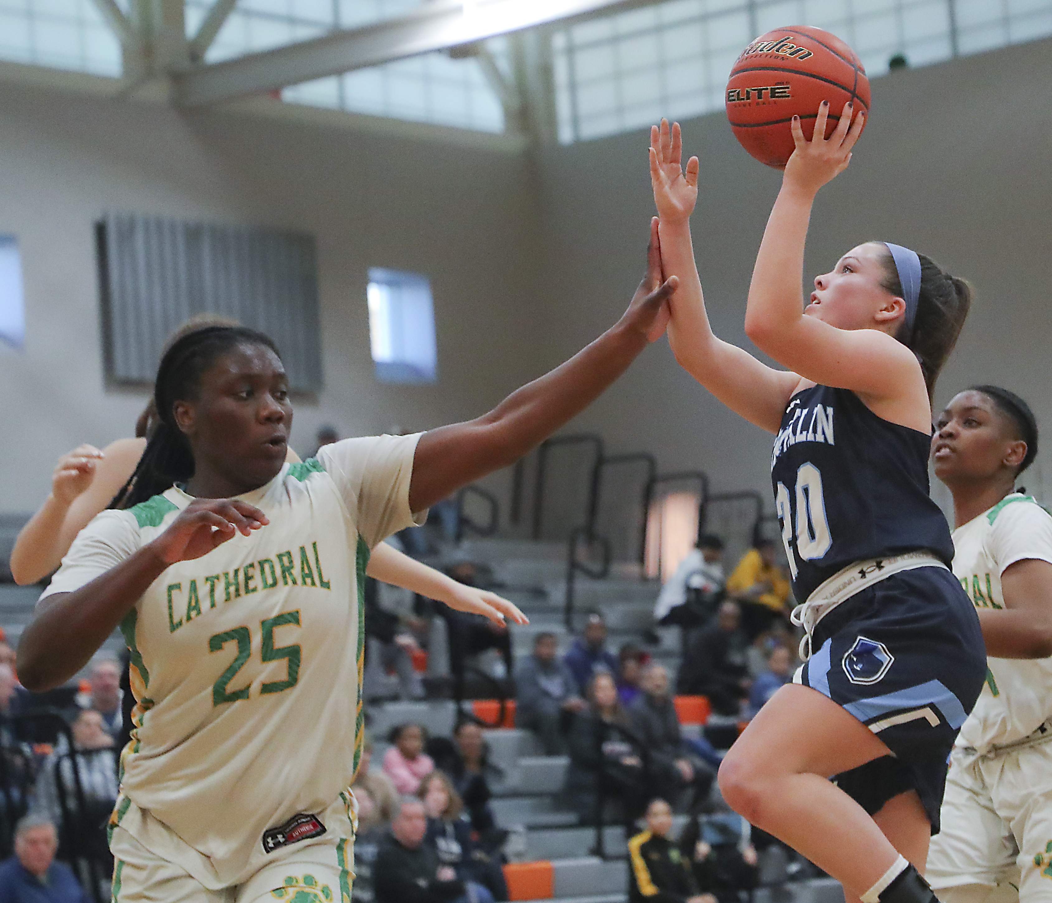 Erin Quaile and the Franklin girls' basketball team soared to a share of the Division 1 girls' basketball title.