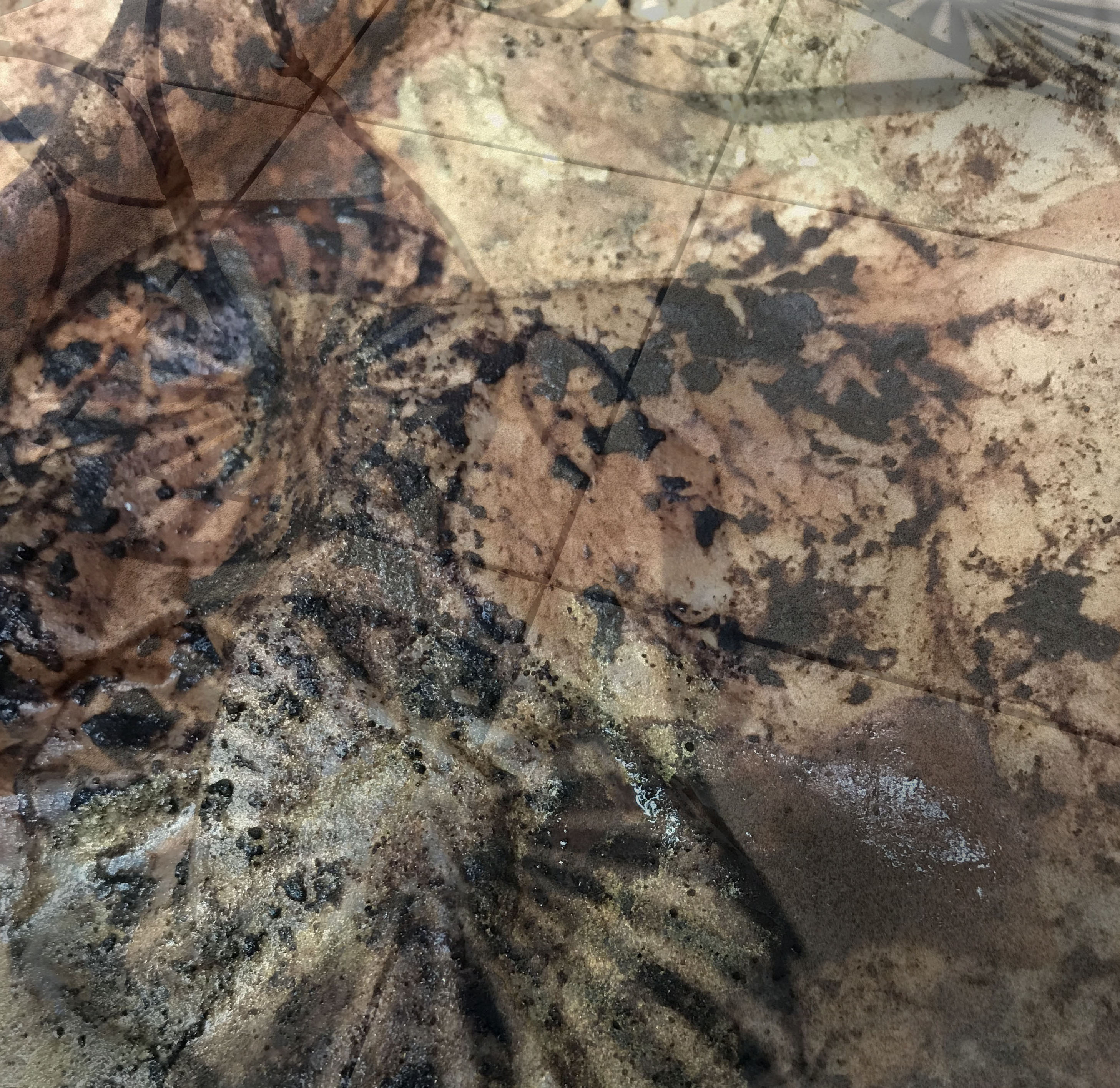 "Fossils" by Peggy McClure.