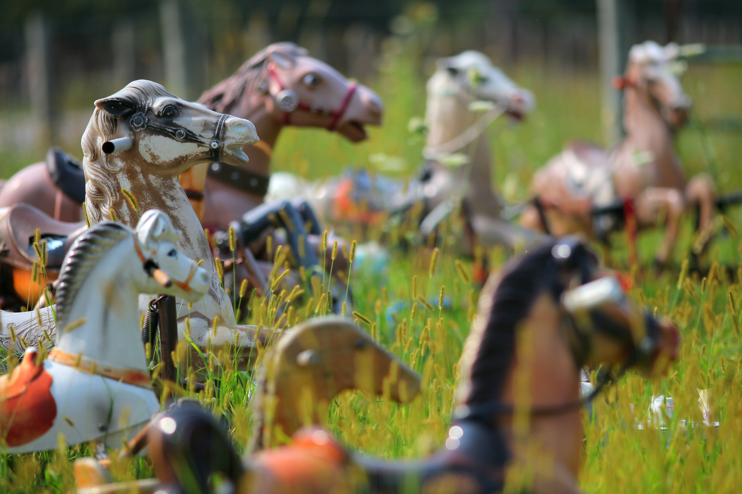 Www Horse Duck Girl Com - Ponyhenge: The absurd, haunting, anonymous communal art project in my field