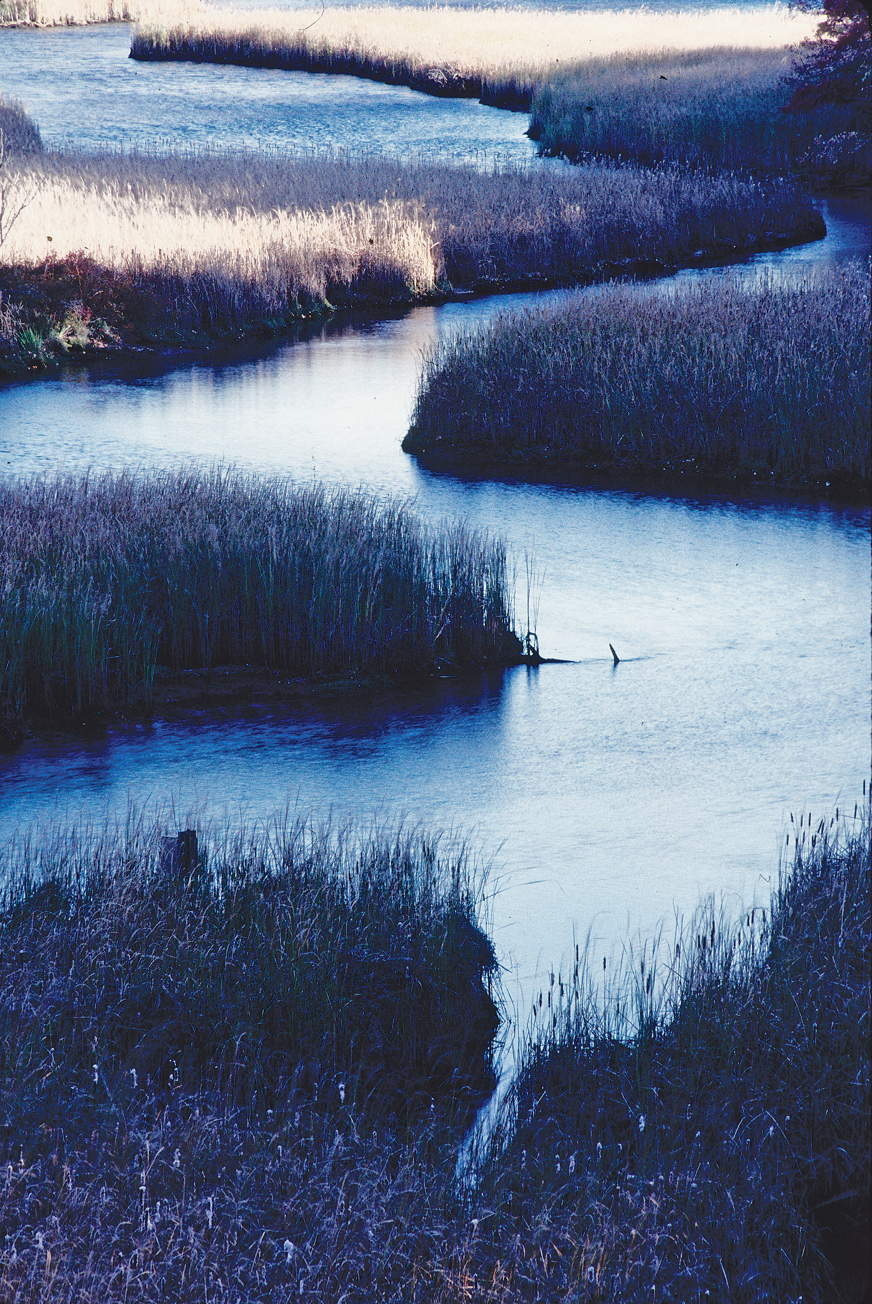A hike along the Mashpee River Reservation is a great way to tune into the beauty of the Cape in winter.