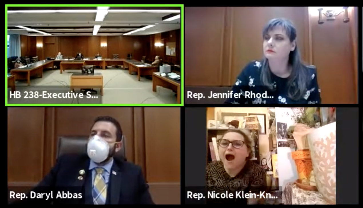 YouTubeThe Zoom public meeting Revealing picture