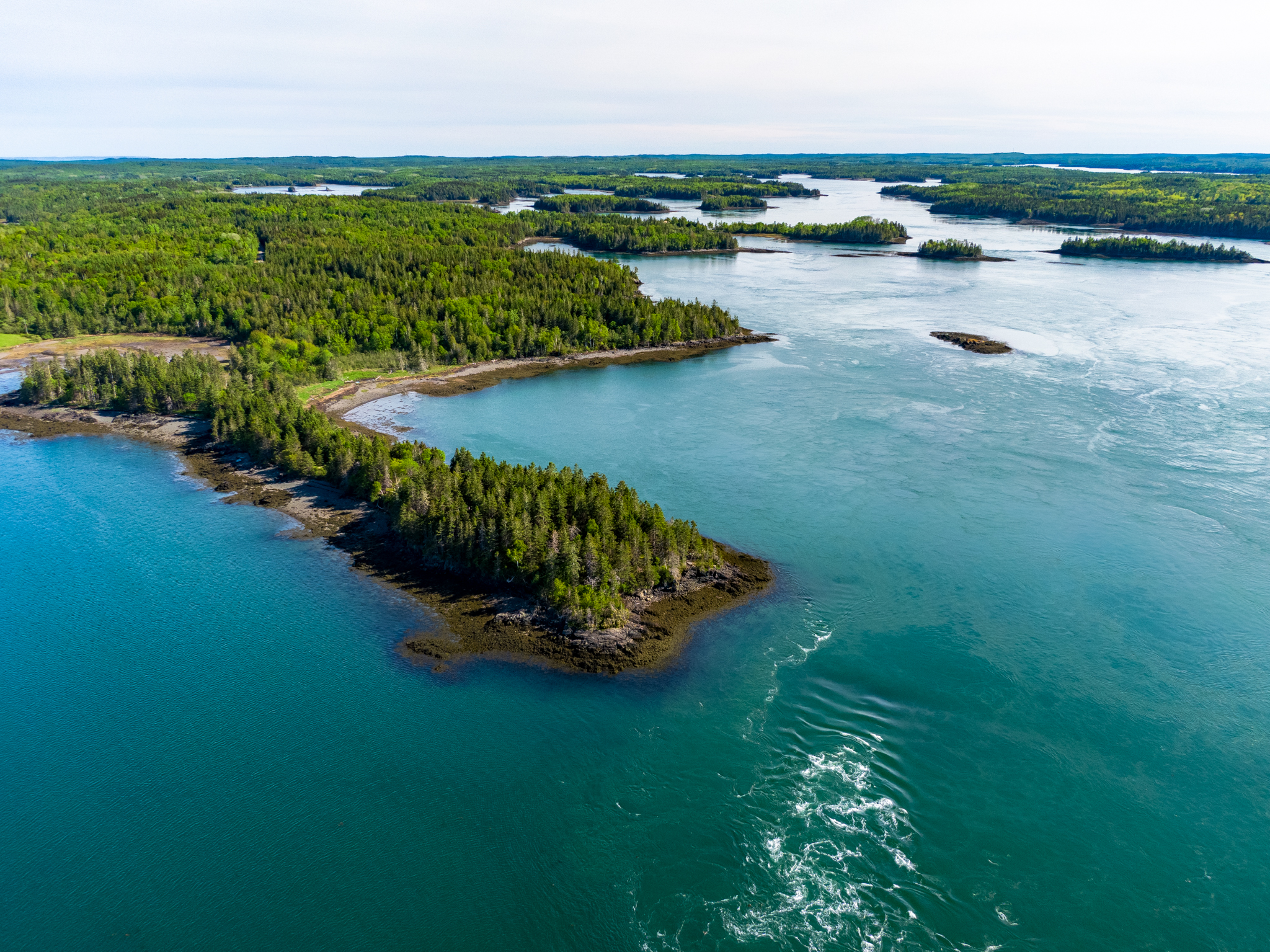 Denbow Point in Cobscook Shores.