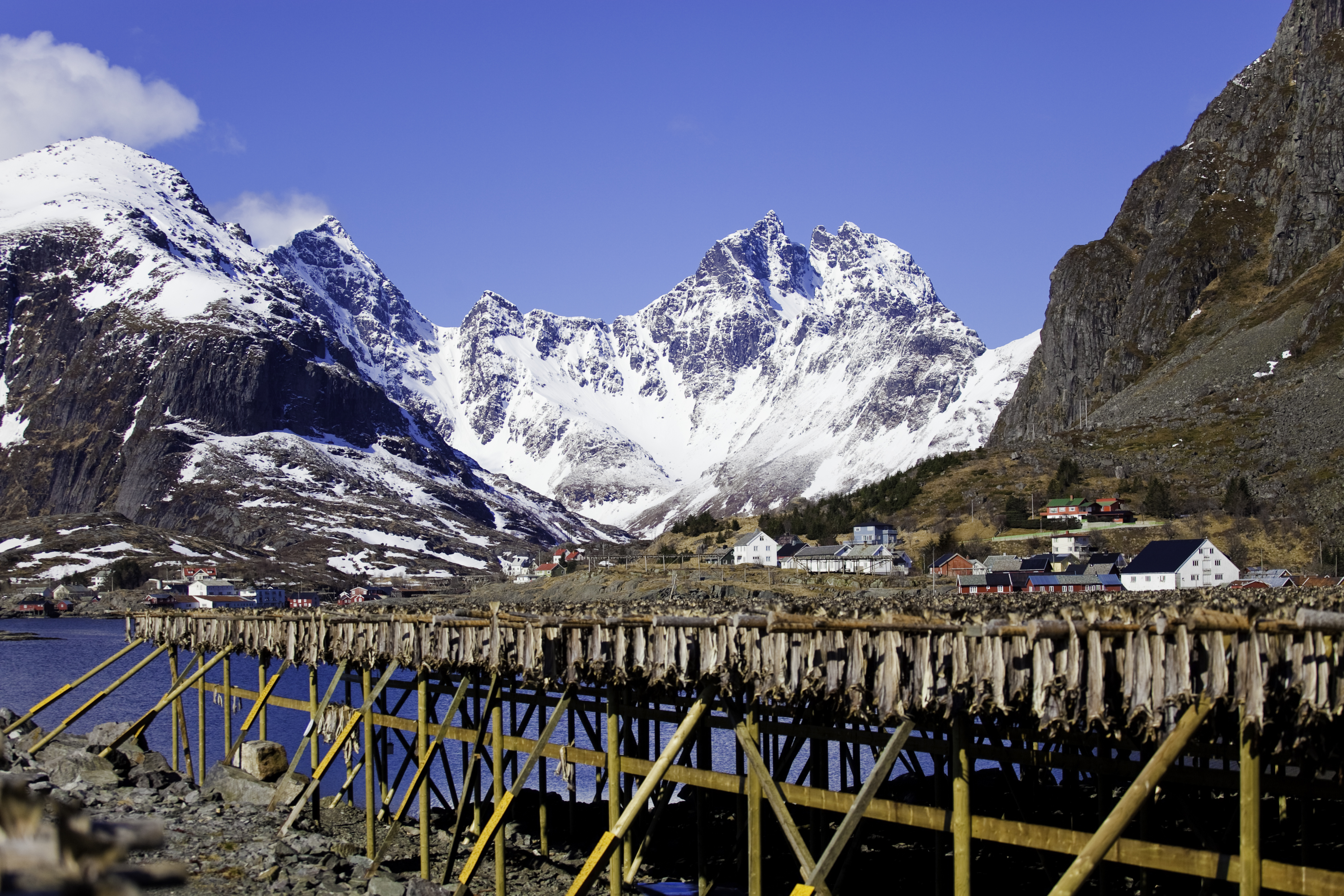 Up Norway, a Norwegian travel curator, announces three new culinary journeys for 2021.