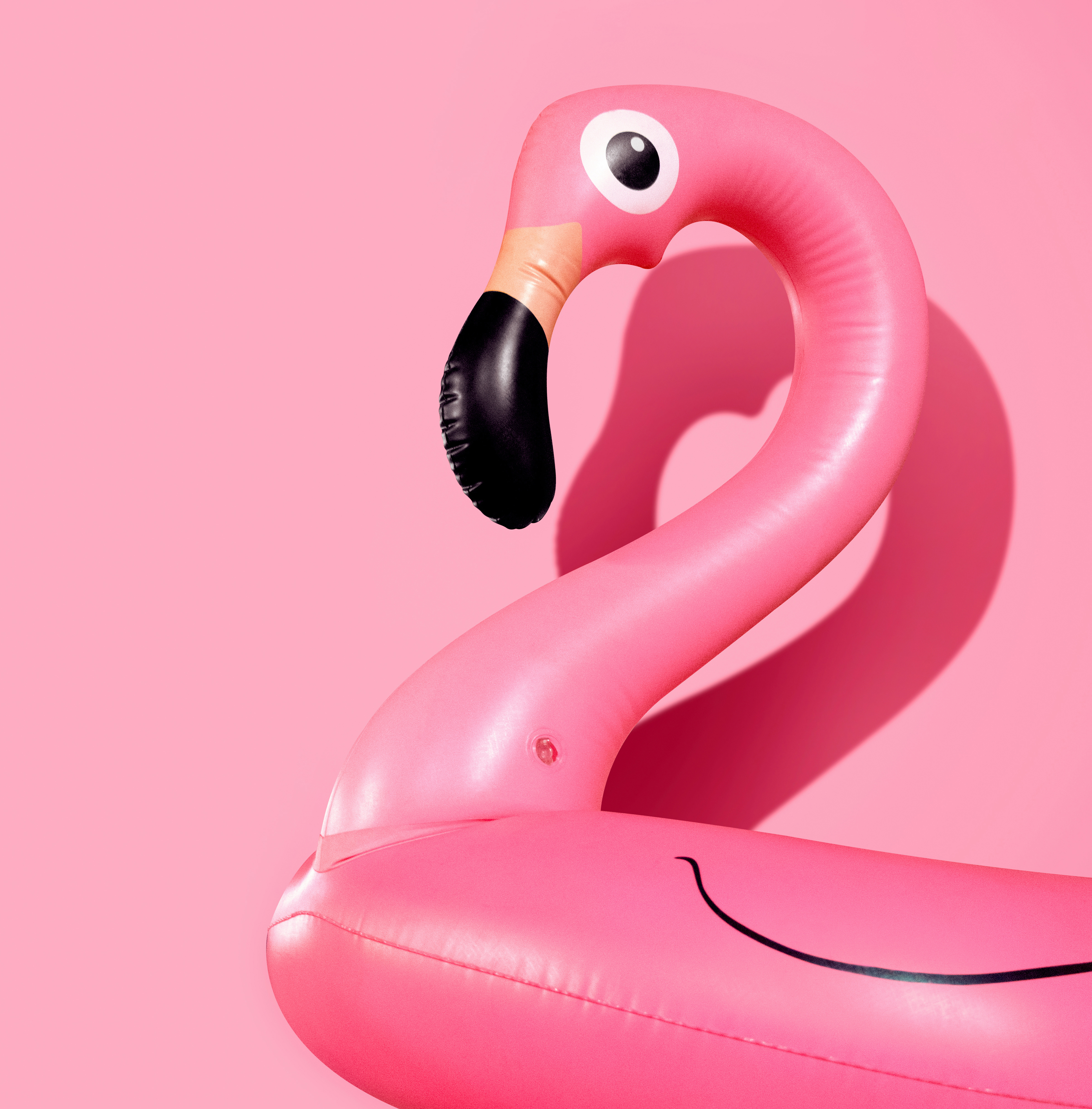 Giant inflatable Flamingo on a pink background,