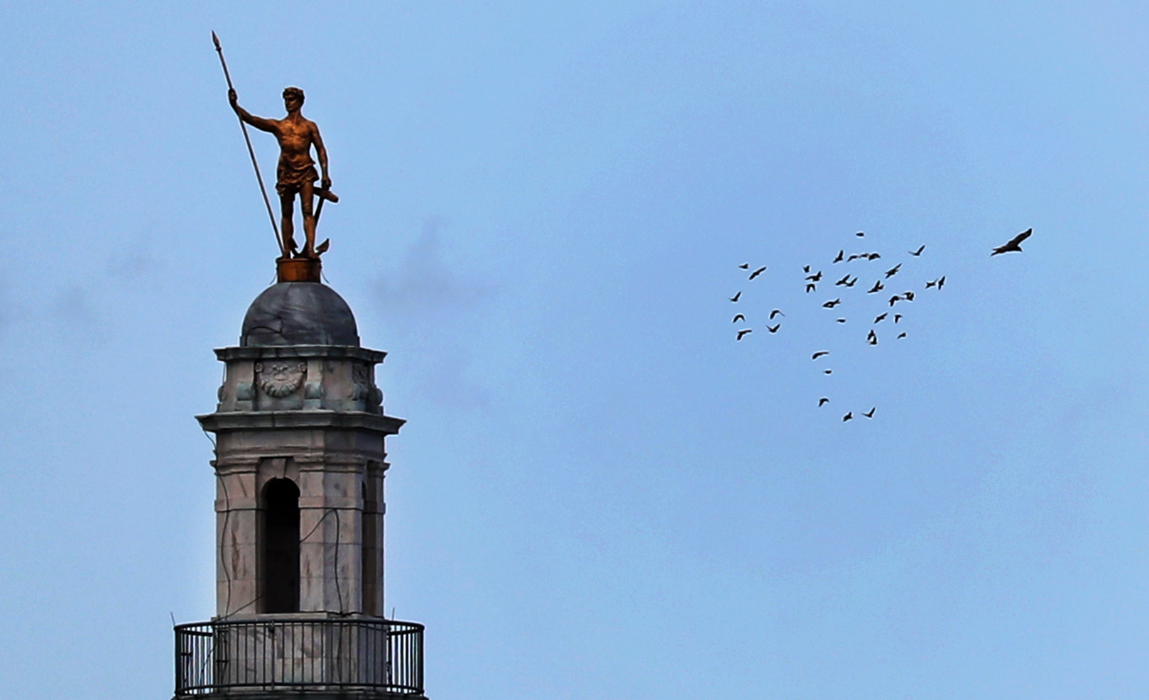 A red-tailed hawk in pursuit of prey next to the "Independent Man" statue on the top of the Rhode Island State House dome in Providence.