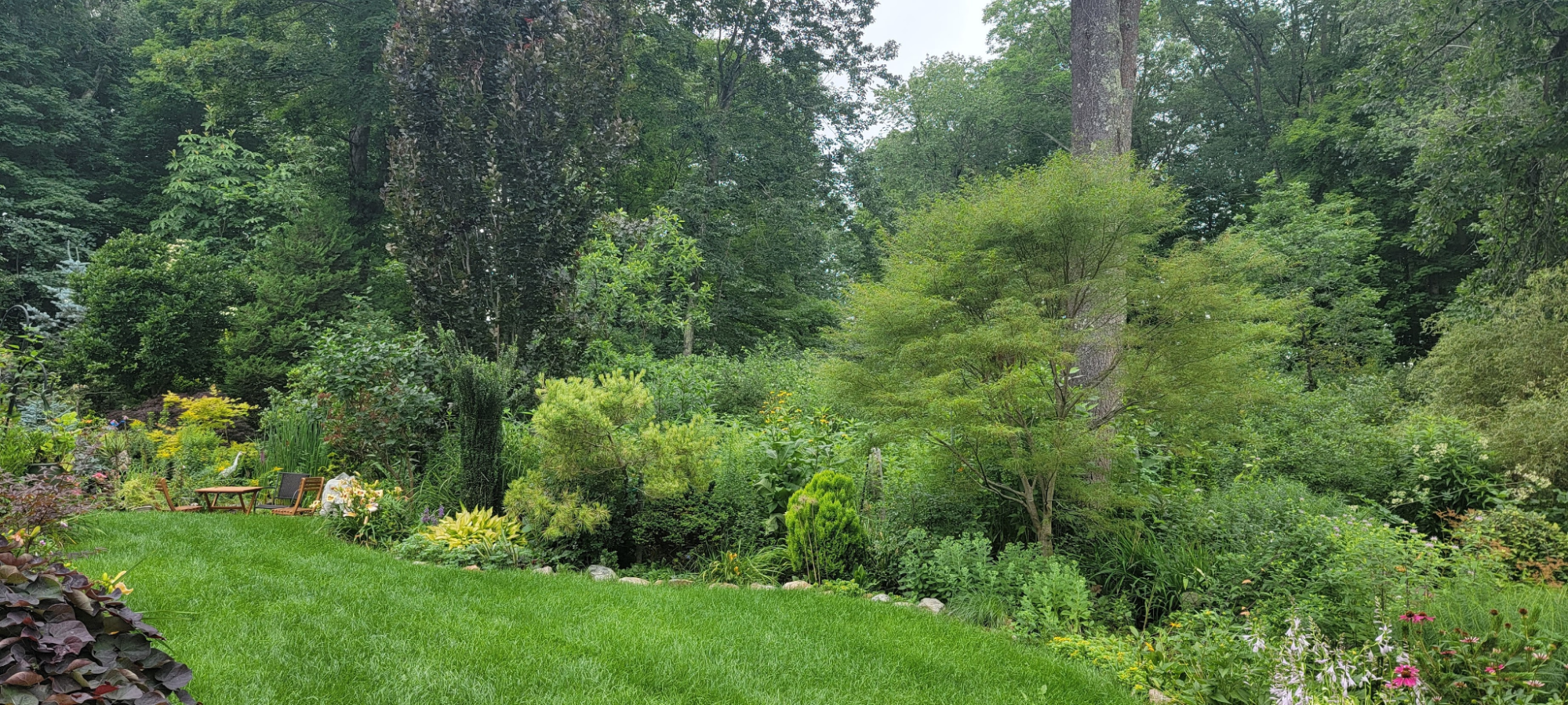 Green lawns are perhaps the only good thing about all the rain this month.