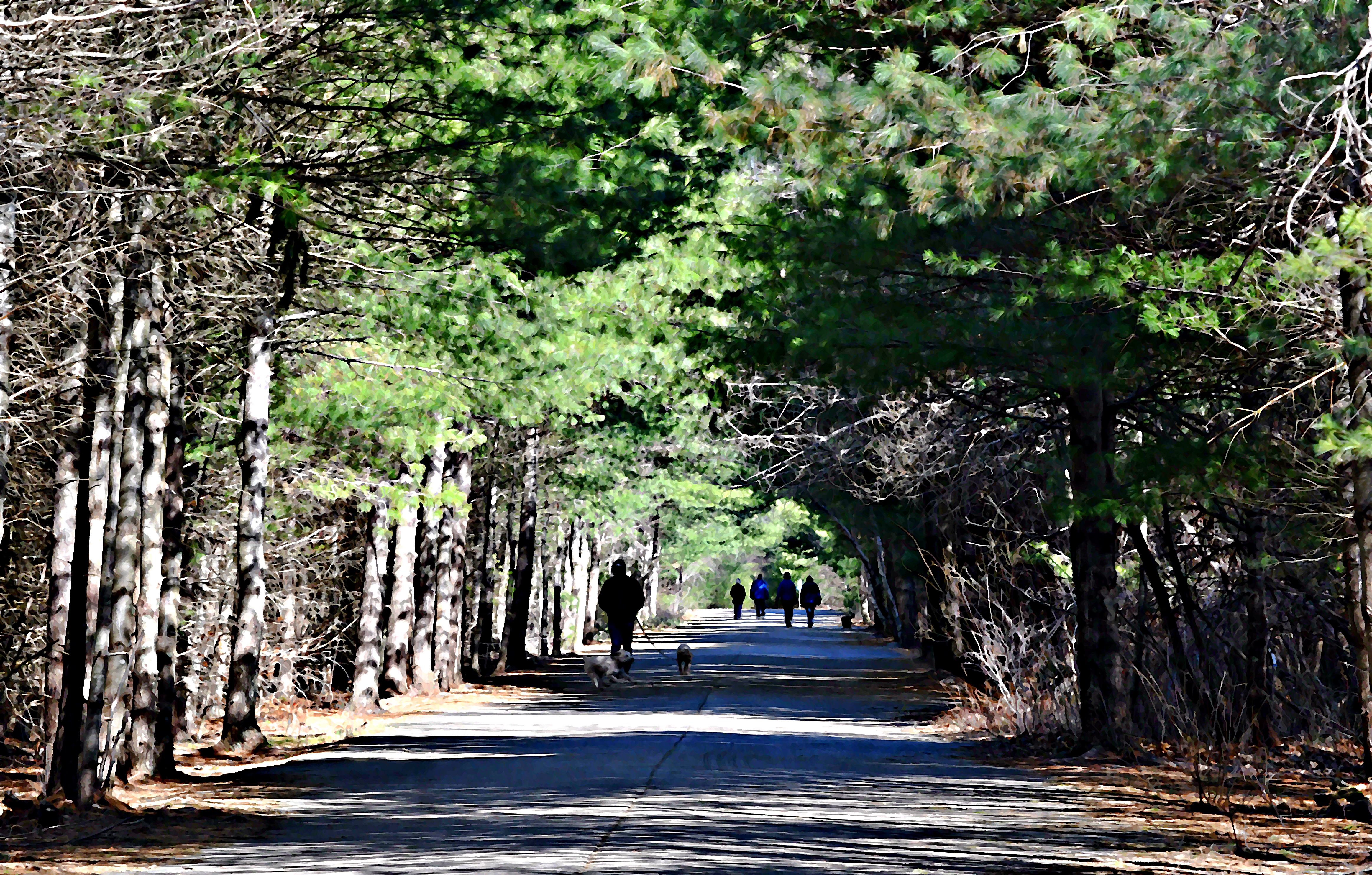 Wompatuck State Park in Hingham offers 12 miles of paved bike paths and another 40 miles of forest trails.